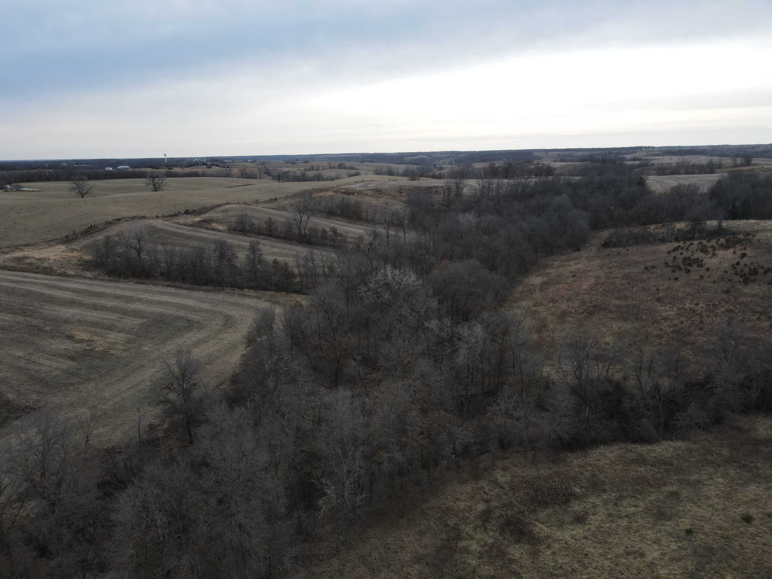Northern Missouri Powerhouse! 160 acres Adair County
