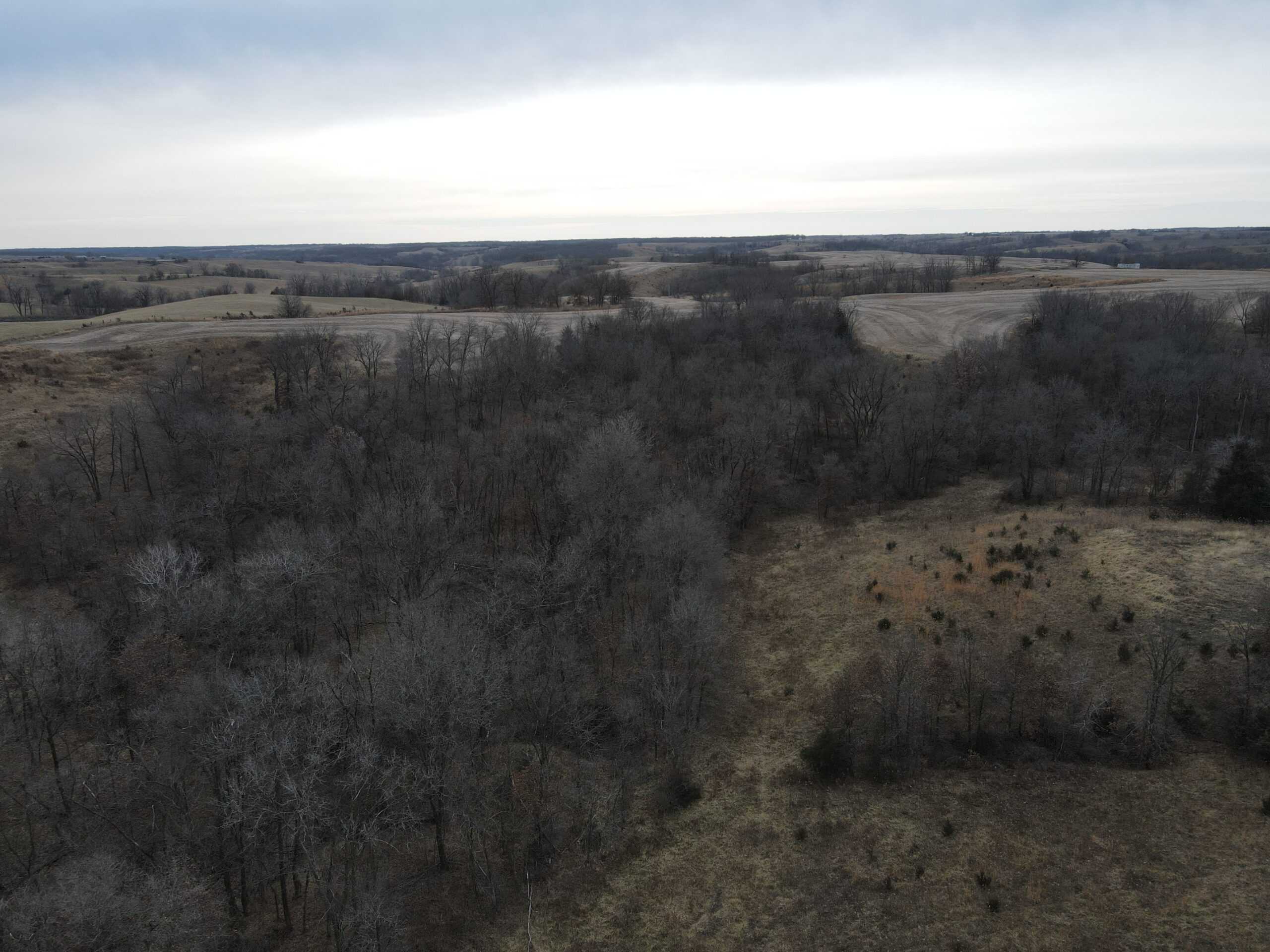 Northern Missouri Powerhouse! 160 acres Adair County