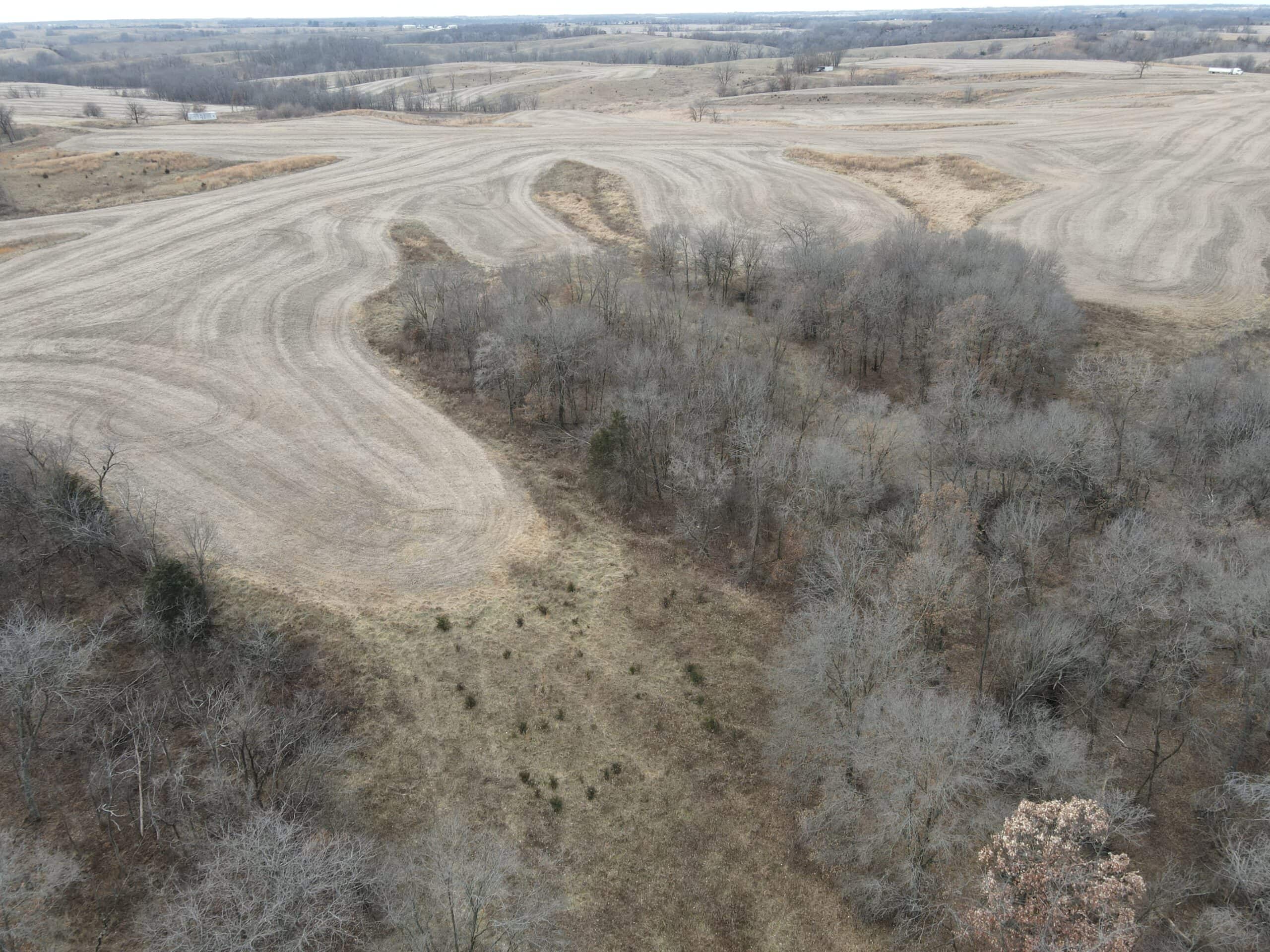 Northern Missouri Powerhouse! 160 acres Adair County