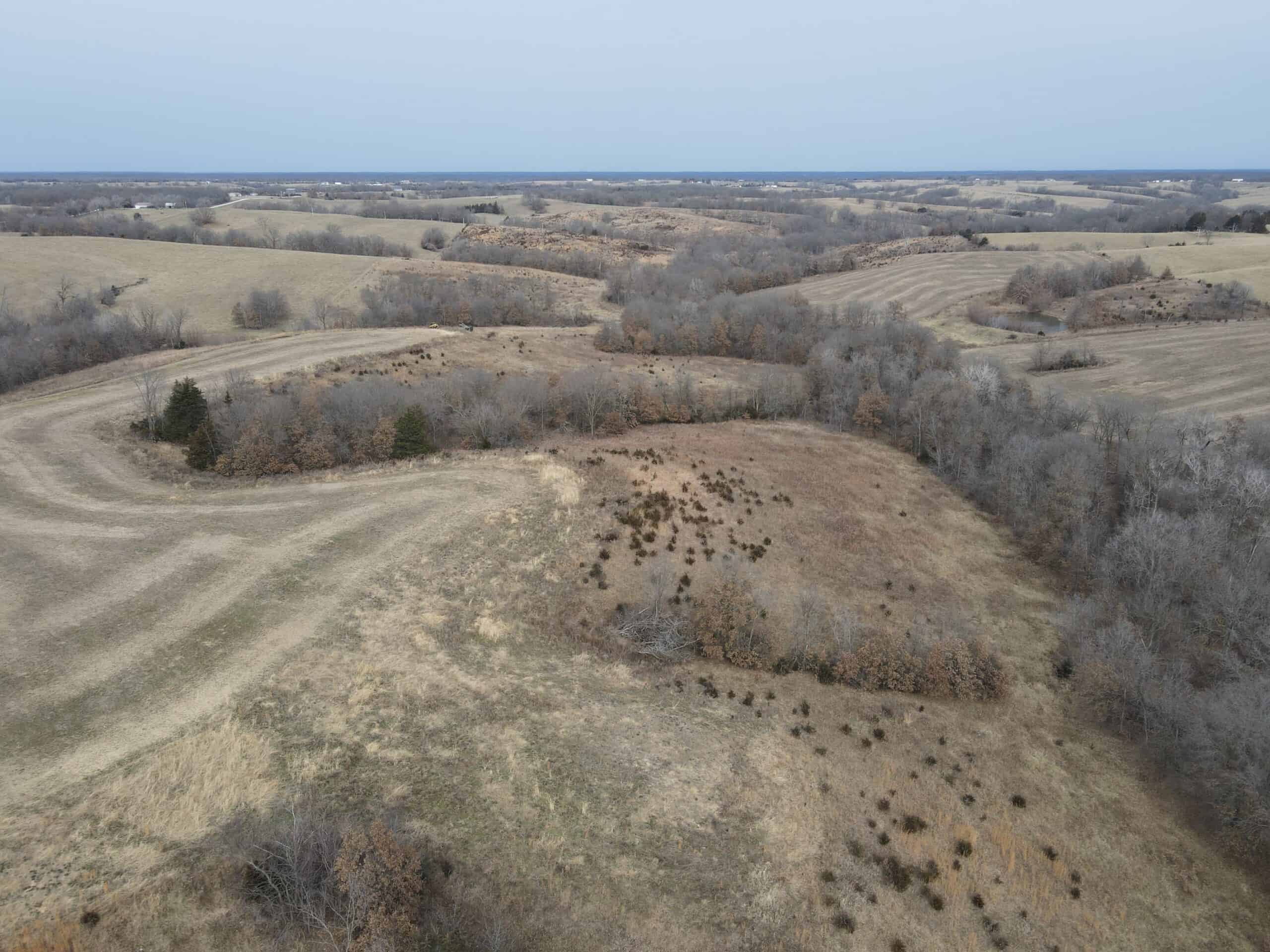 Northern Missouri Powerhouse! 160 acres Adair County