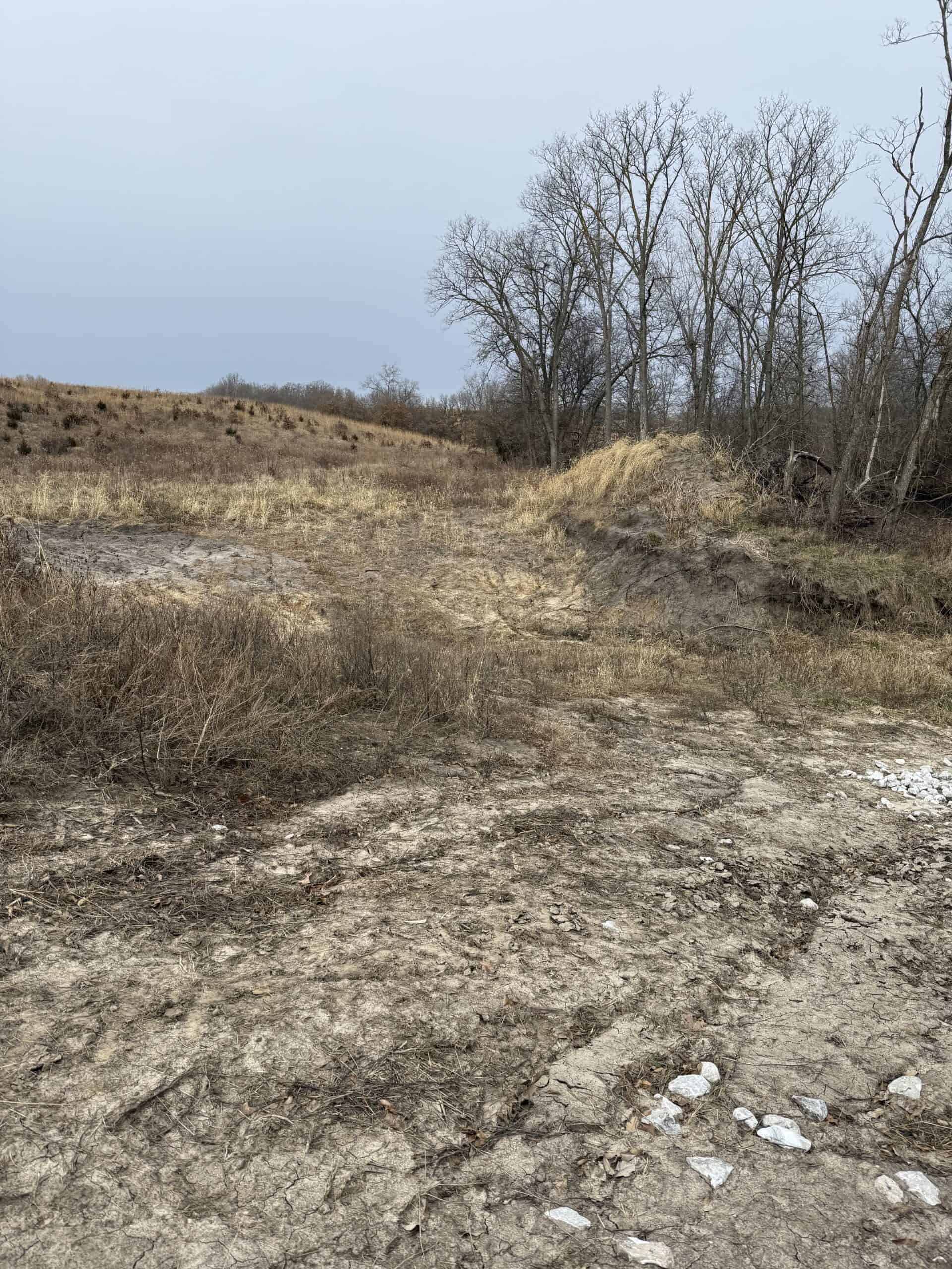 Northern Missouri Powerhouse! 160 acres Adair County