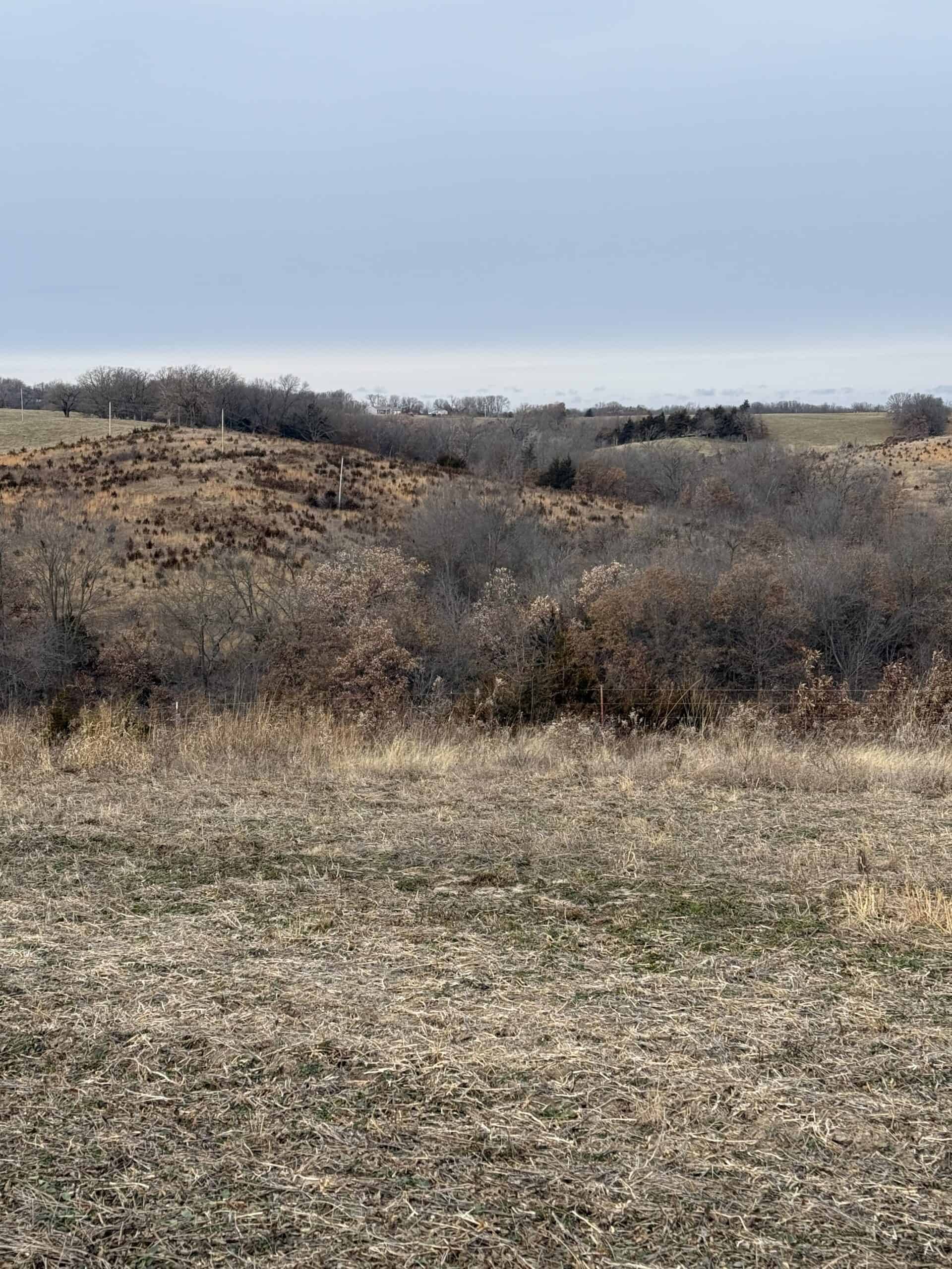 Northern Missouri Powerhouse! 160 acres Adair County