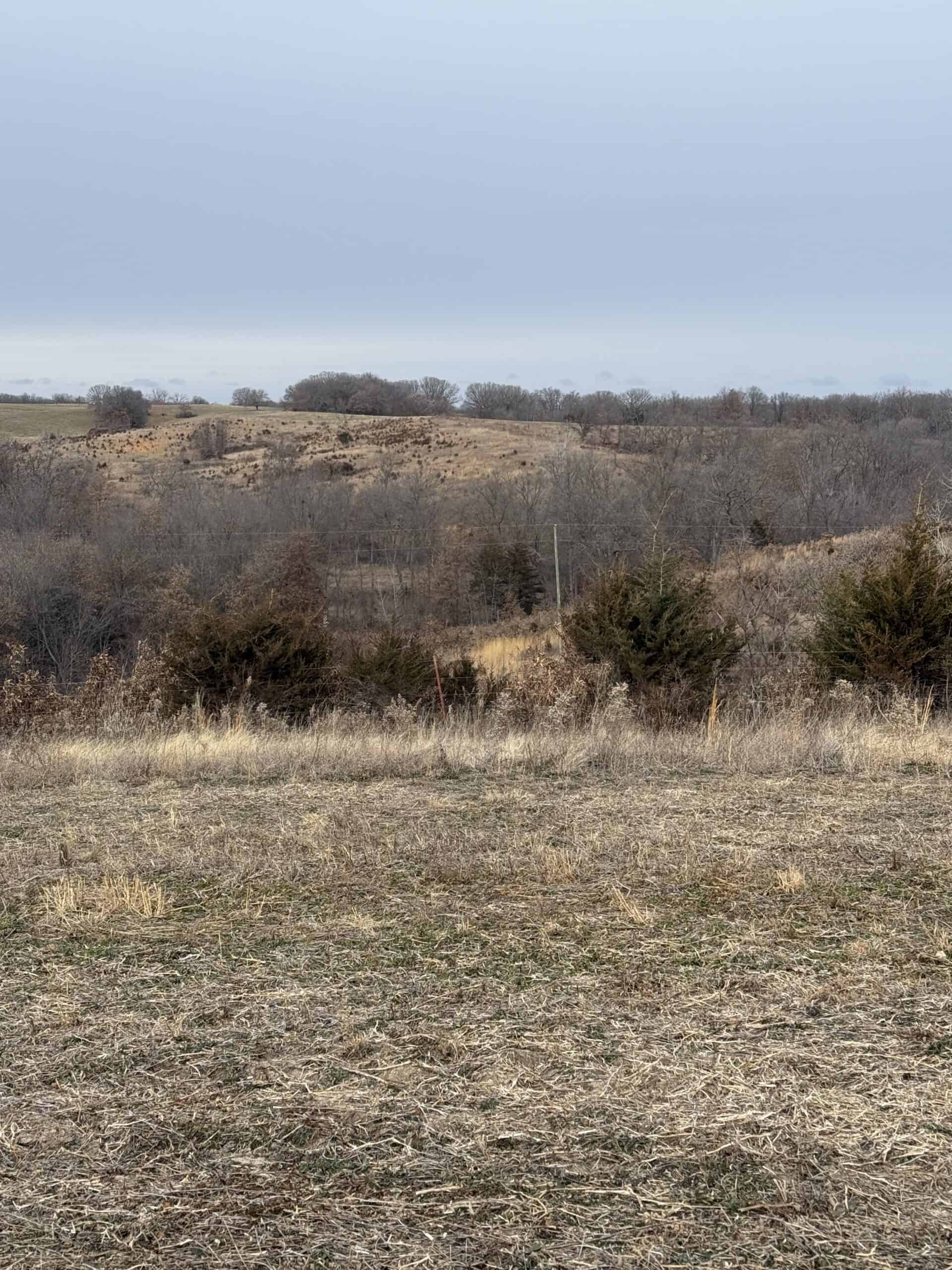 Northern Missouri Powerhouse! 160 acres Adair County