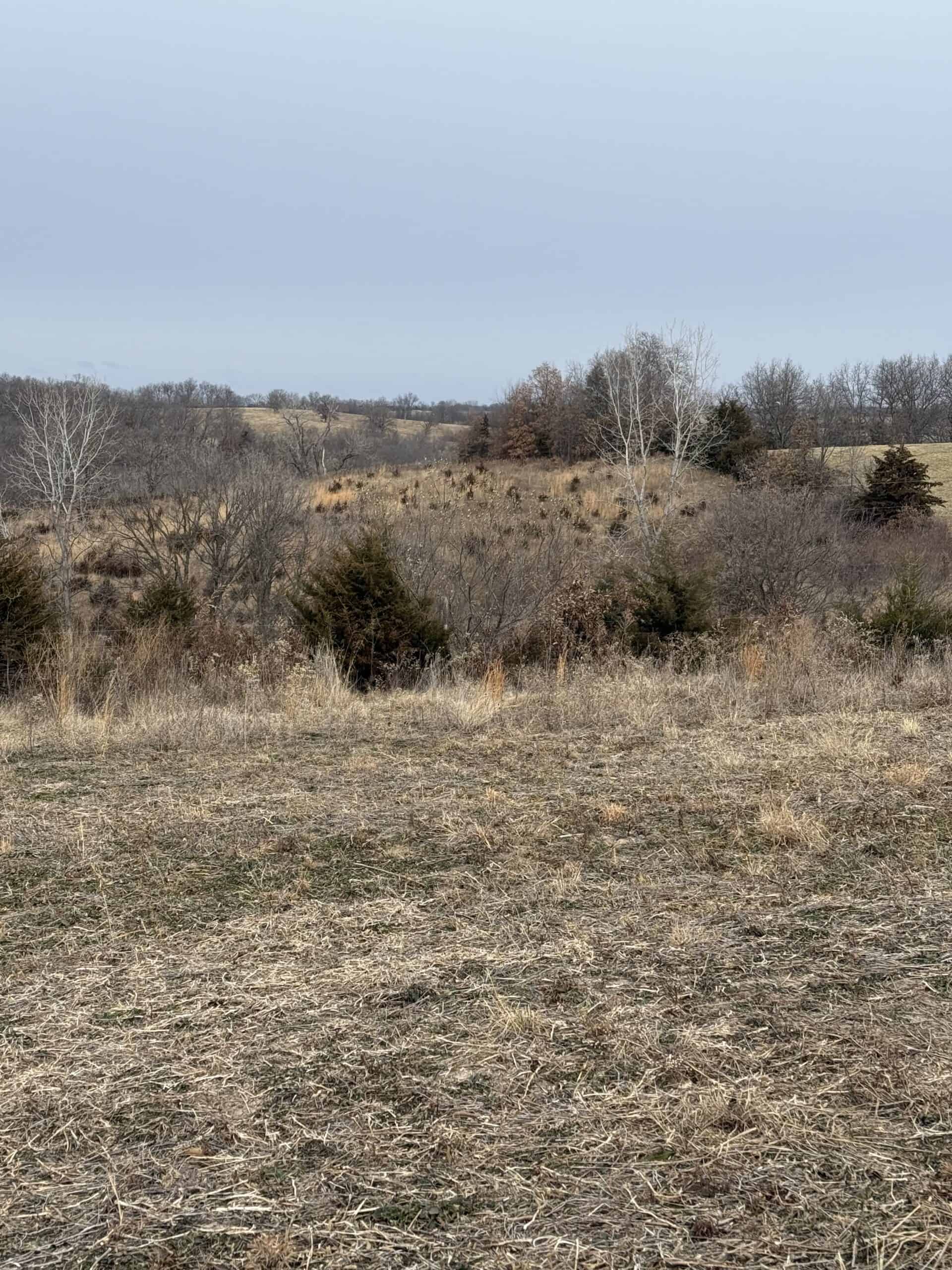 Northern Missouri Powerhouse! 160 acres Adair County