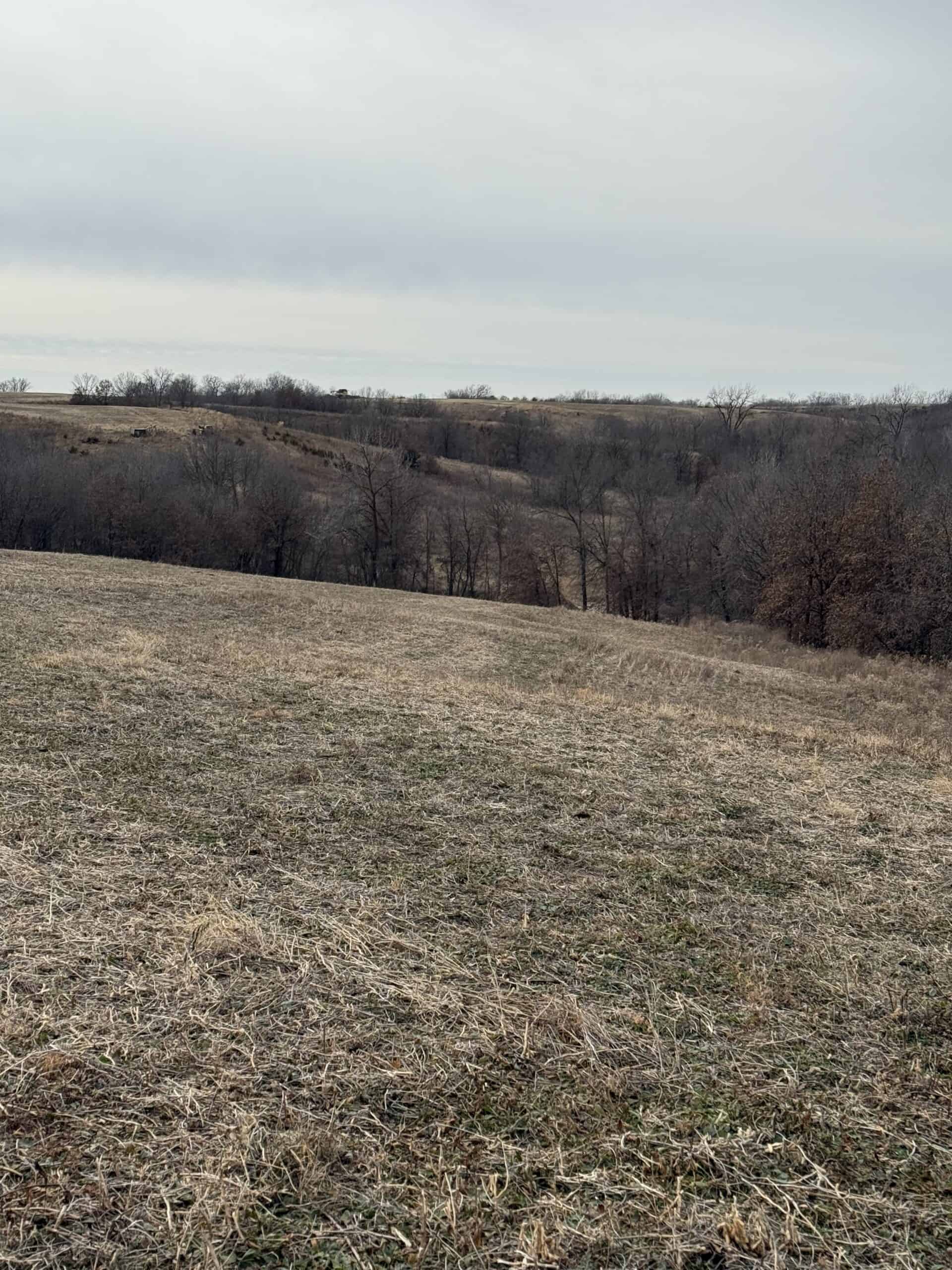 Northern Missouri Powerhouse! 160 acres Adair County