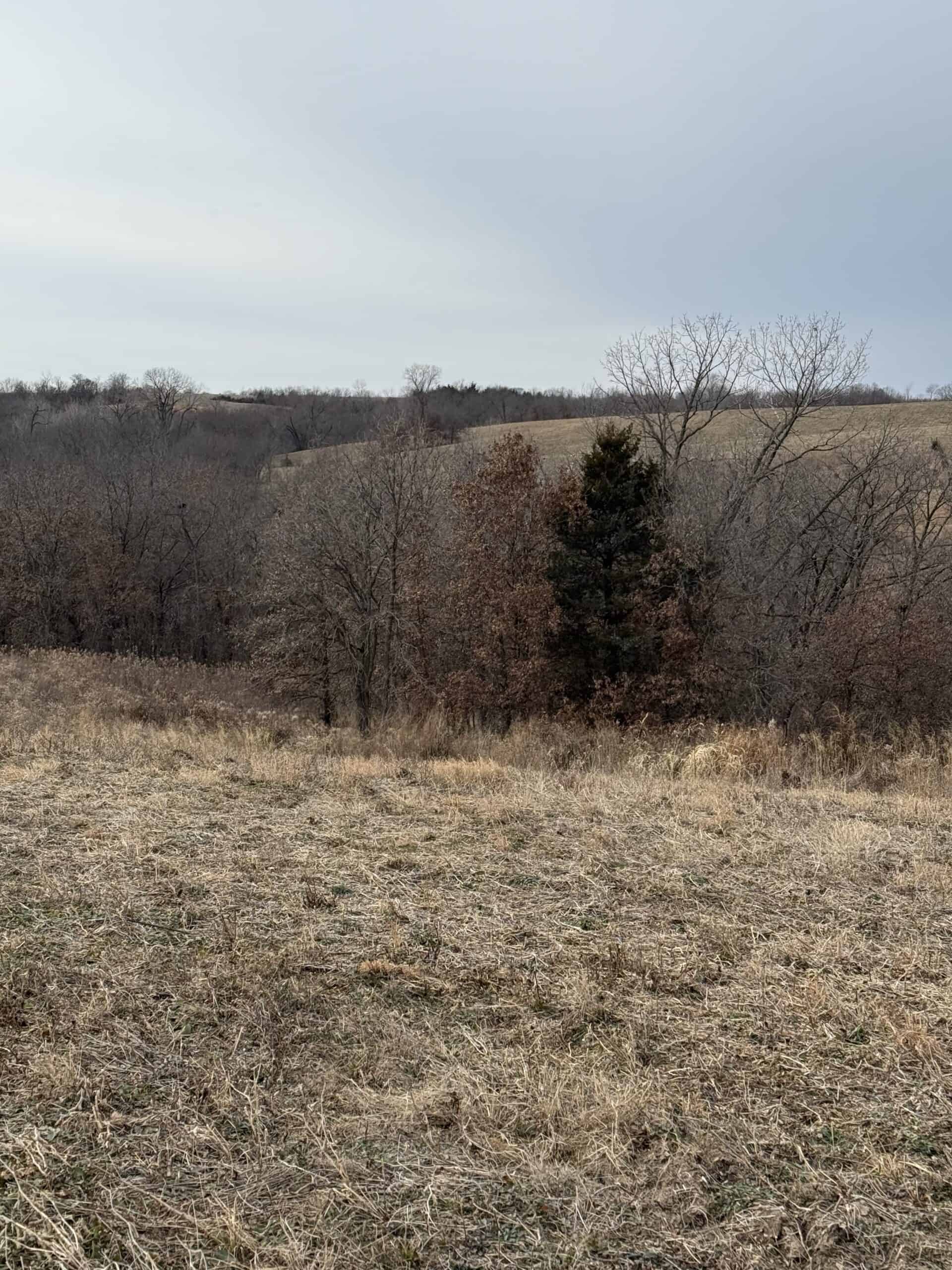 Northern Missouri Powerhouse! 160 acres Adair County