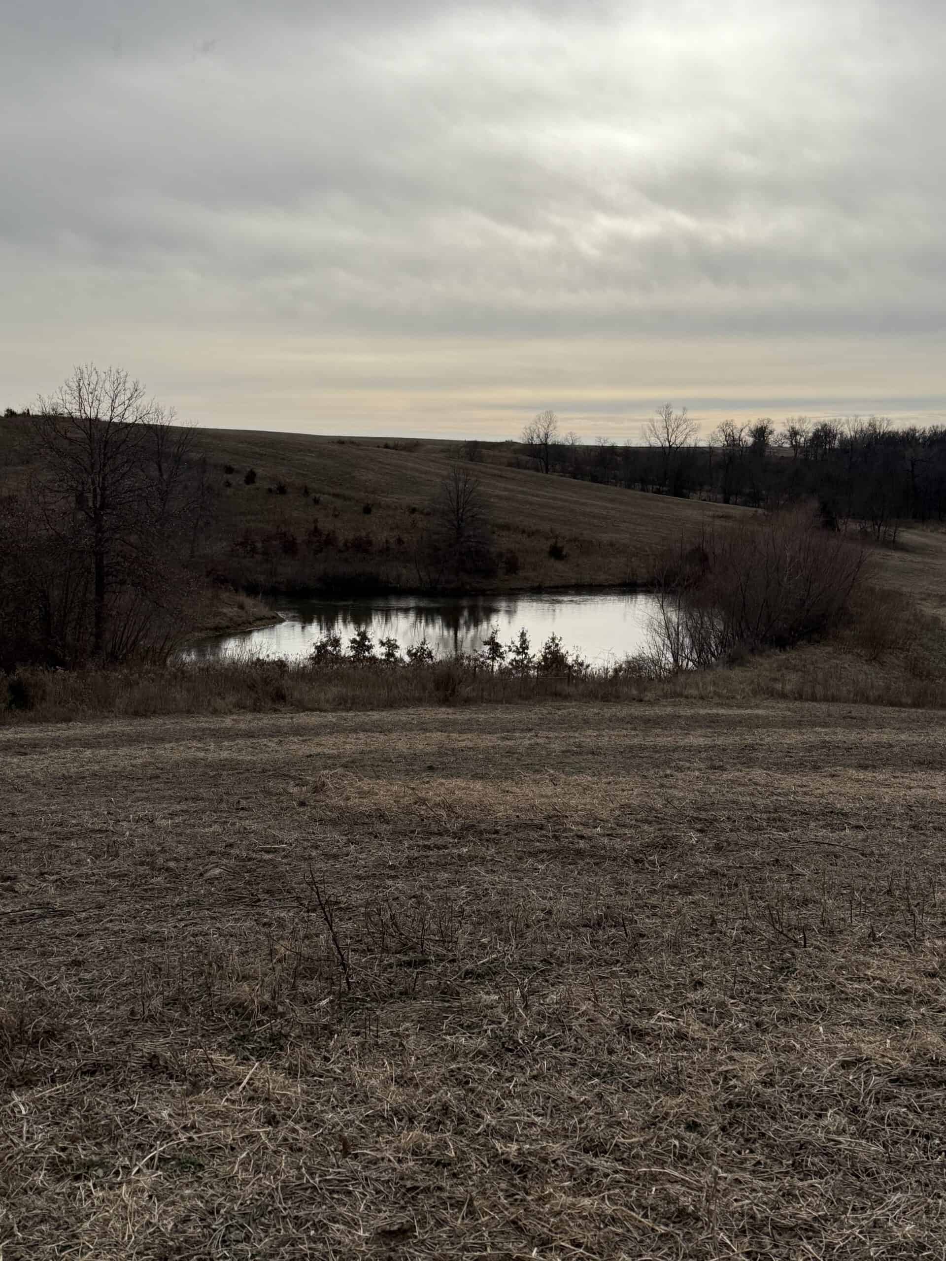 Northern Missouri Powerhouse! 160 acres Adair County