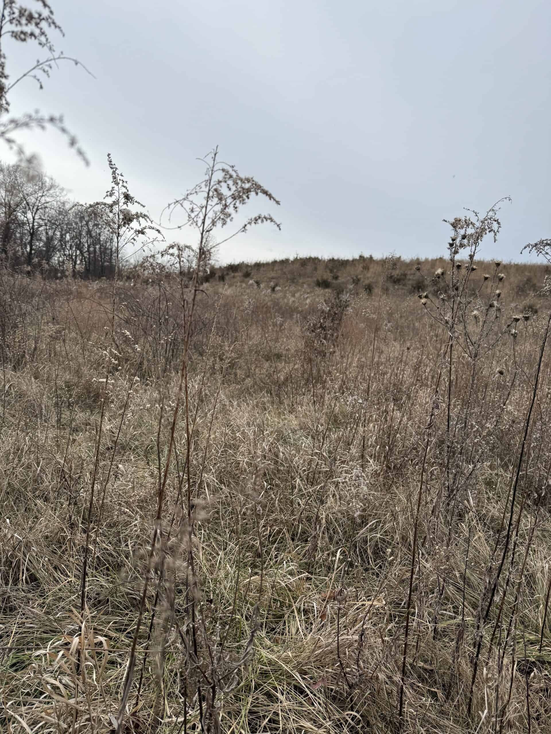 Northern Missouri Powerhouse! 160 acres Adair County