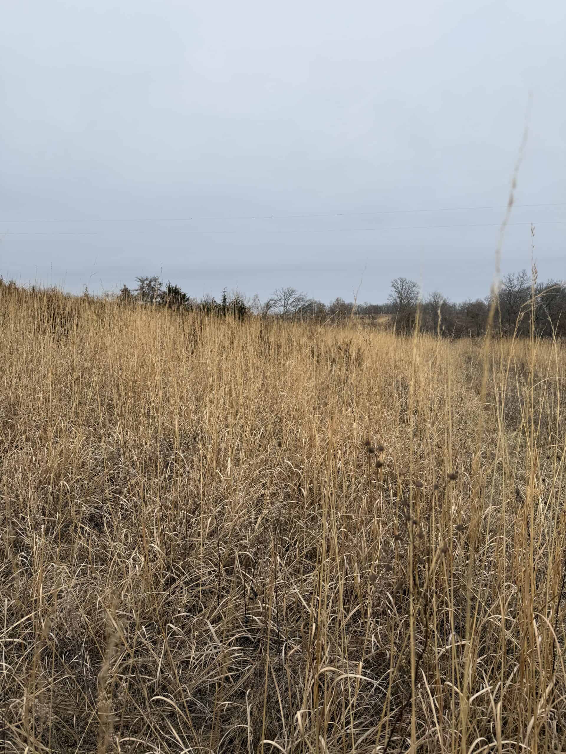 Northern Missouri Powerhouse! 160 acres Adair County