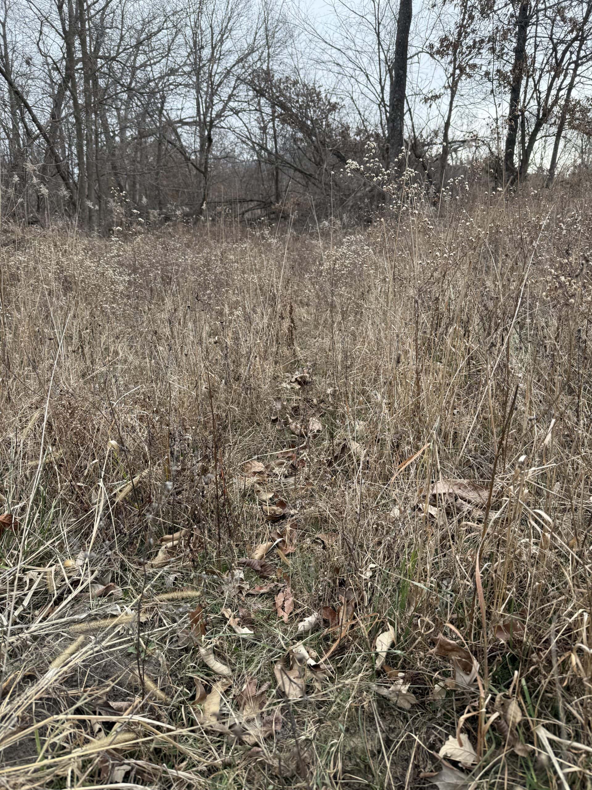 Northern Missouri Powerhouse! 160 acres Adair County