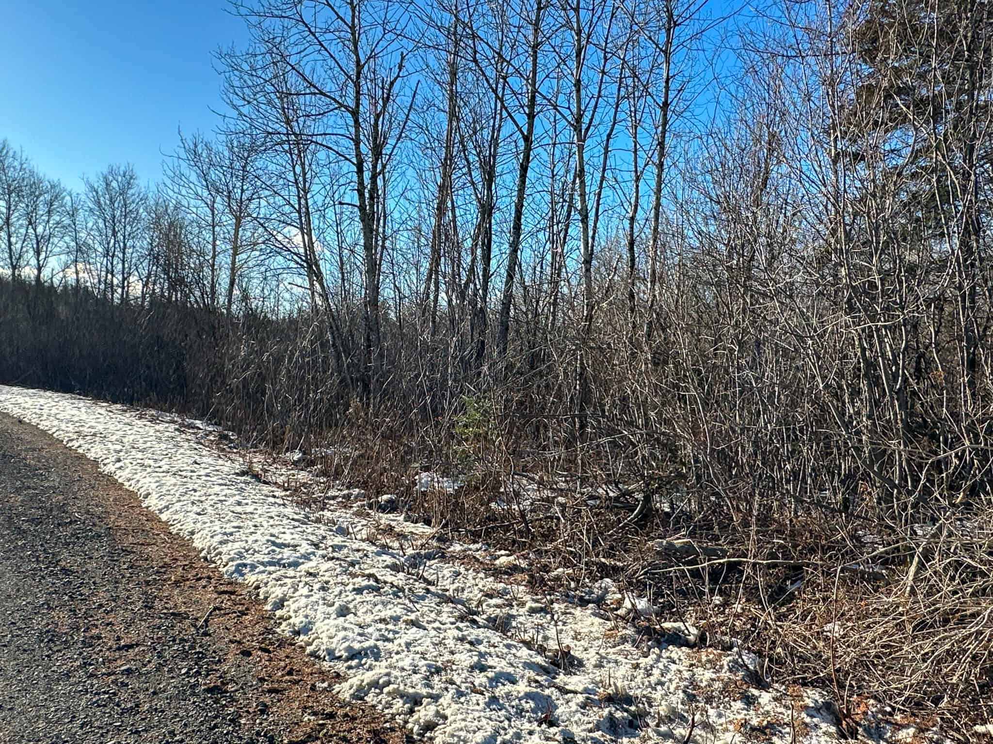 59 Acres in Northern Maine