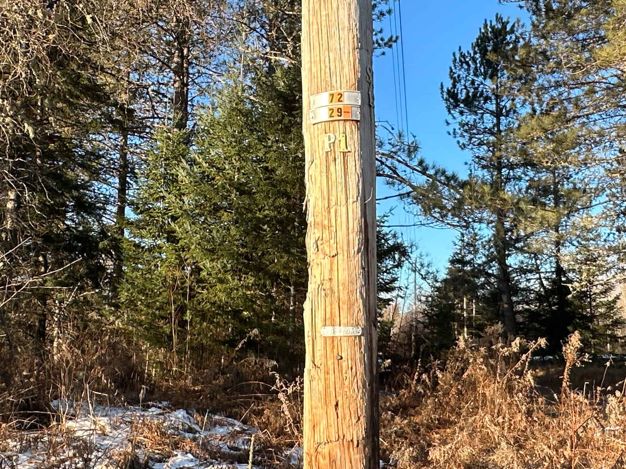 59 Acres in Northern Maine