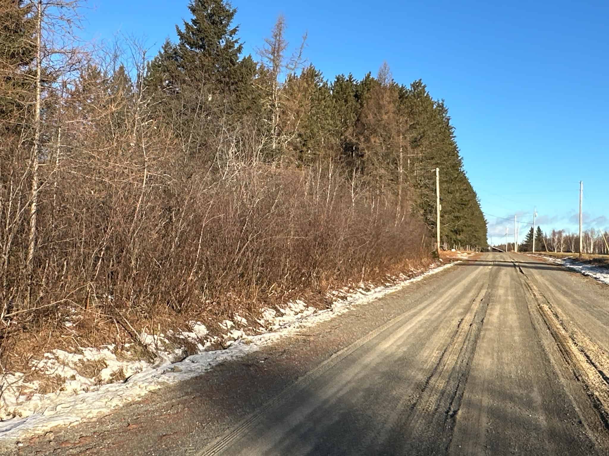 59 Acres in Northern Maine