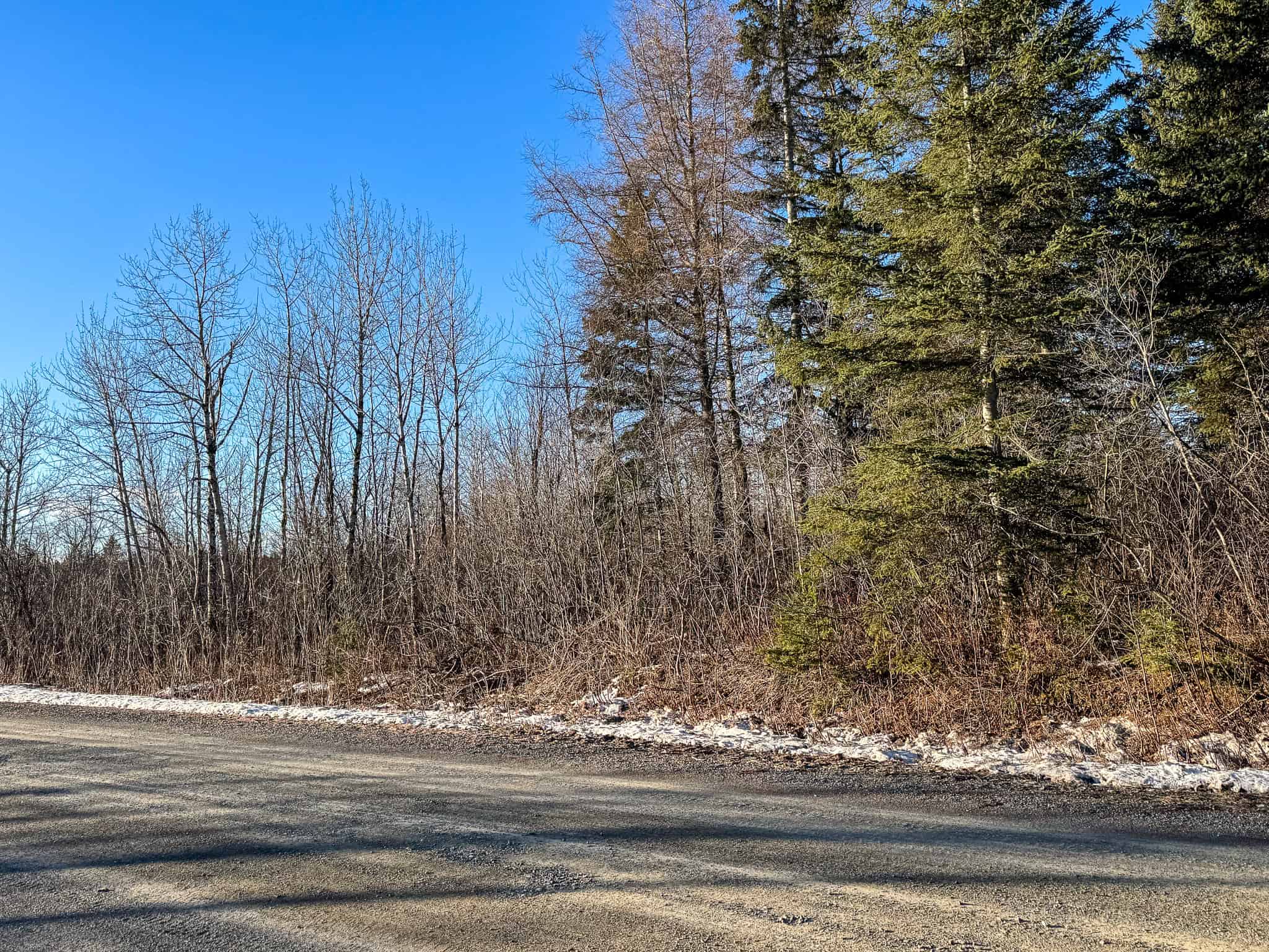 59 Acres in Northern Maine