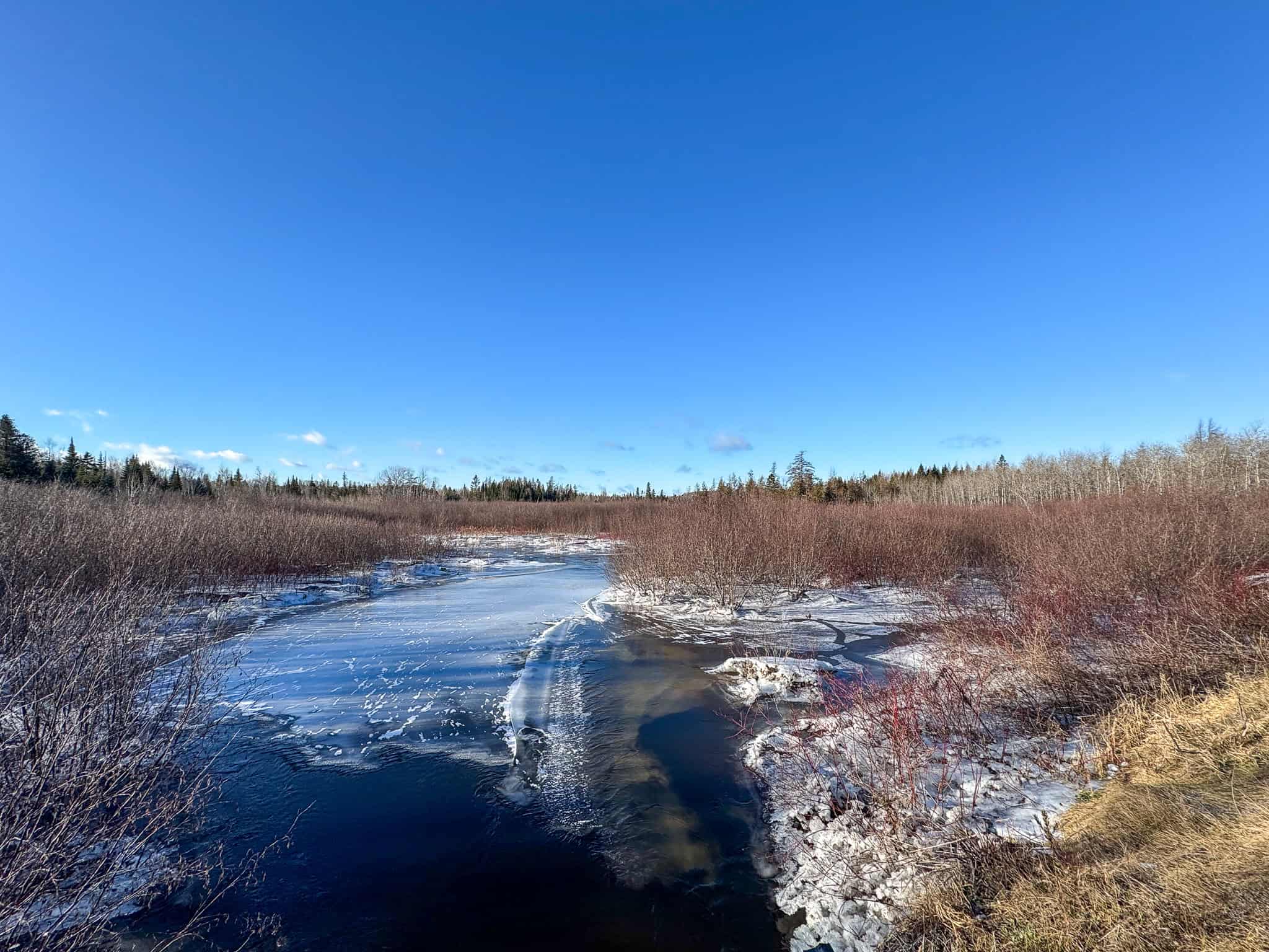 59 Acres in Northern Maine