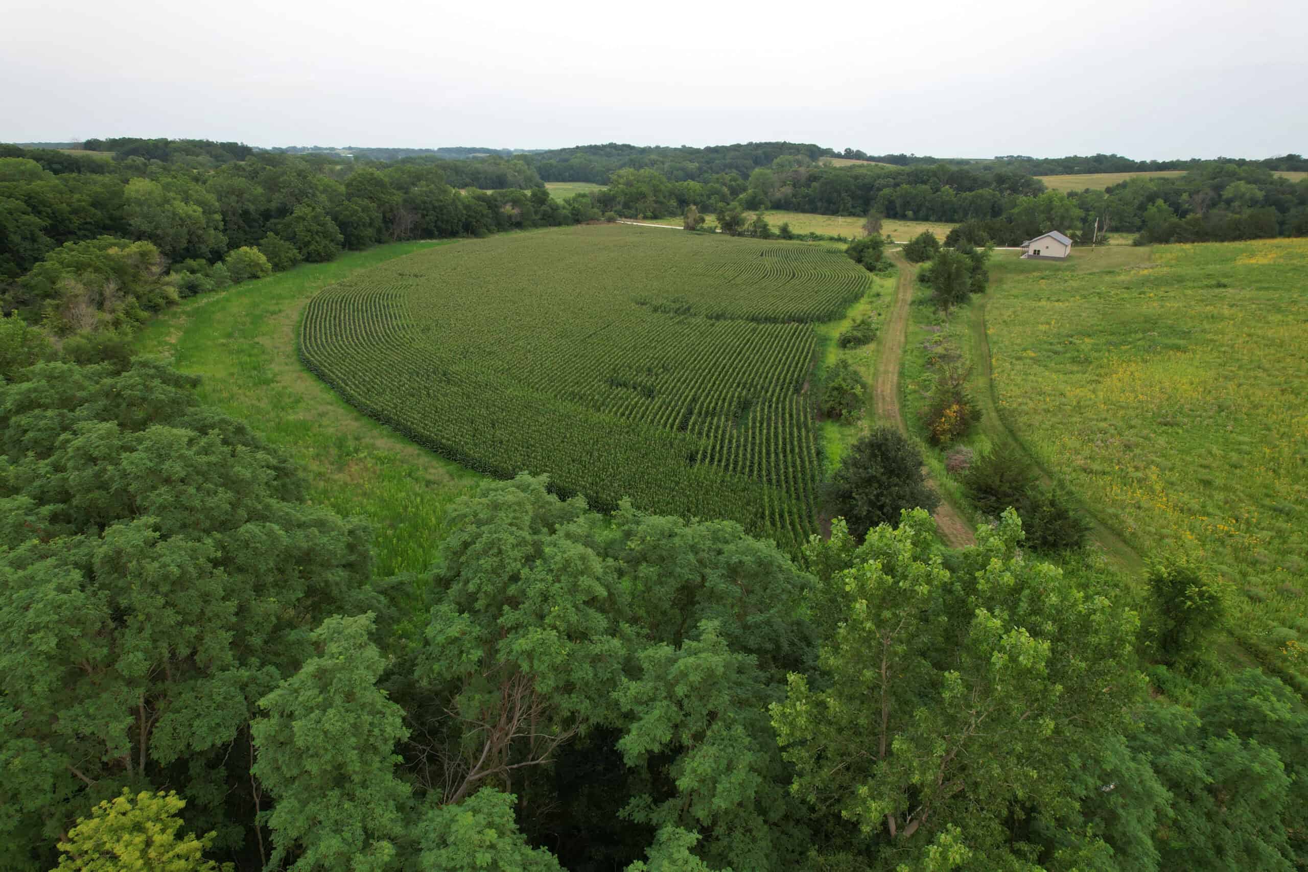Southern Iowa Combination Hunting Tract