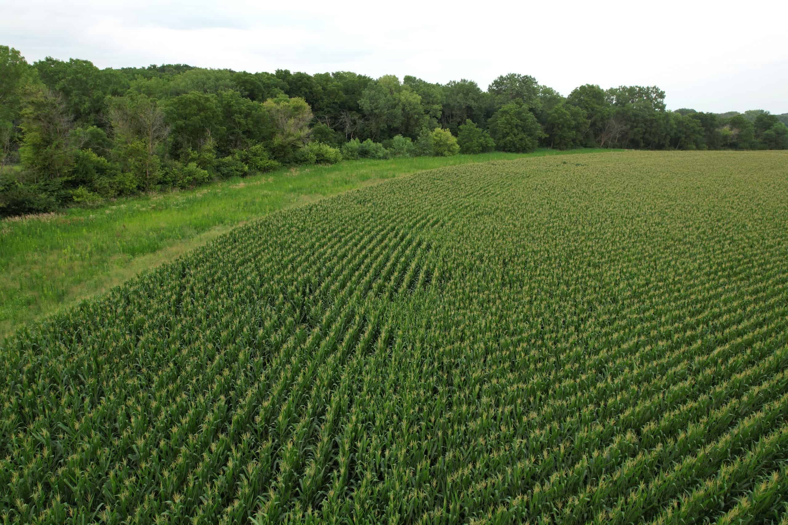 Southern Iowa Combination Hunting Tract
