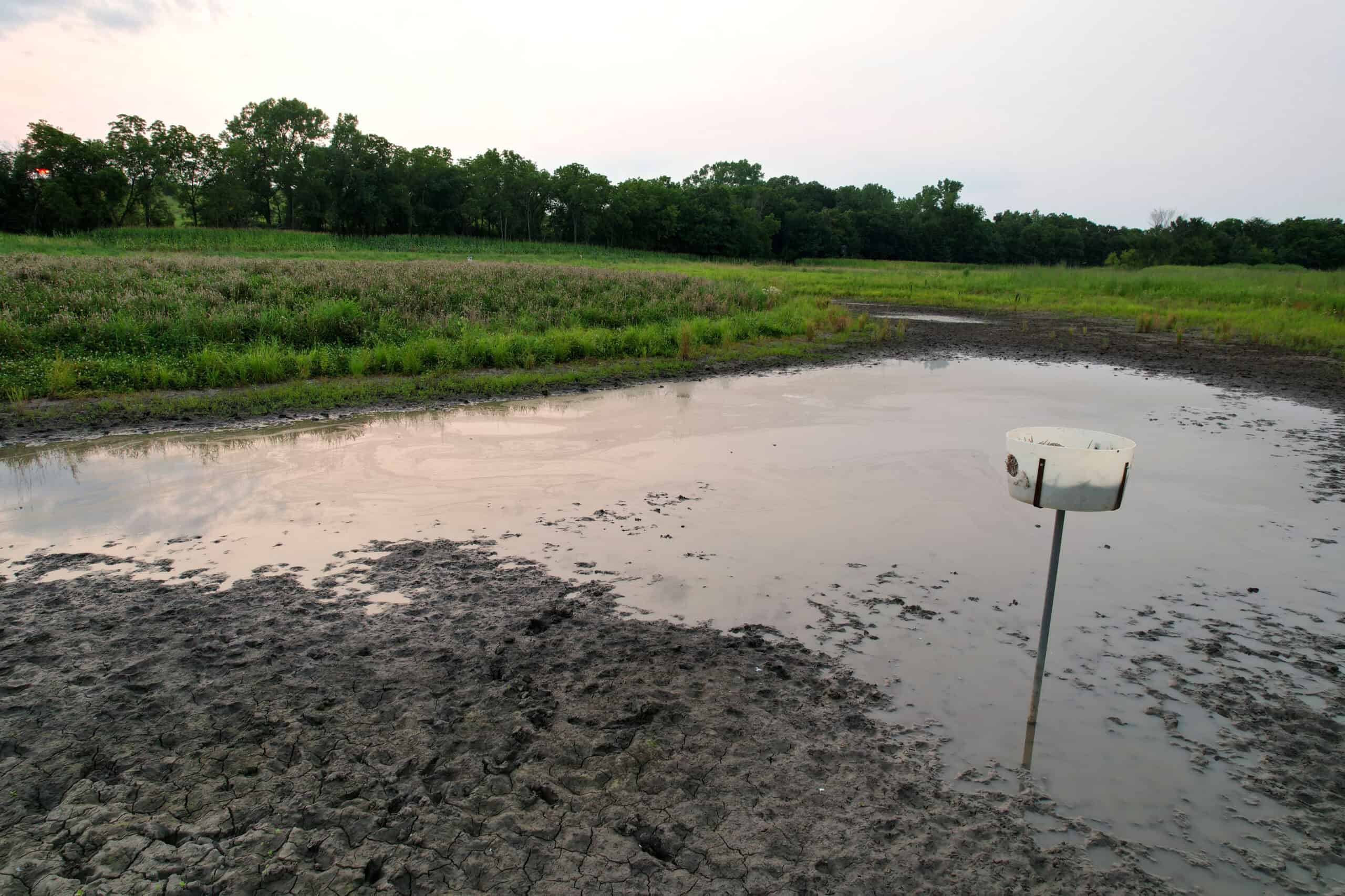 Southern Iowa Combination Hunting Tract