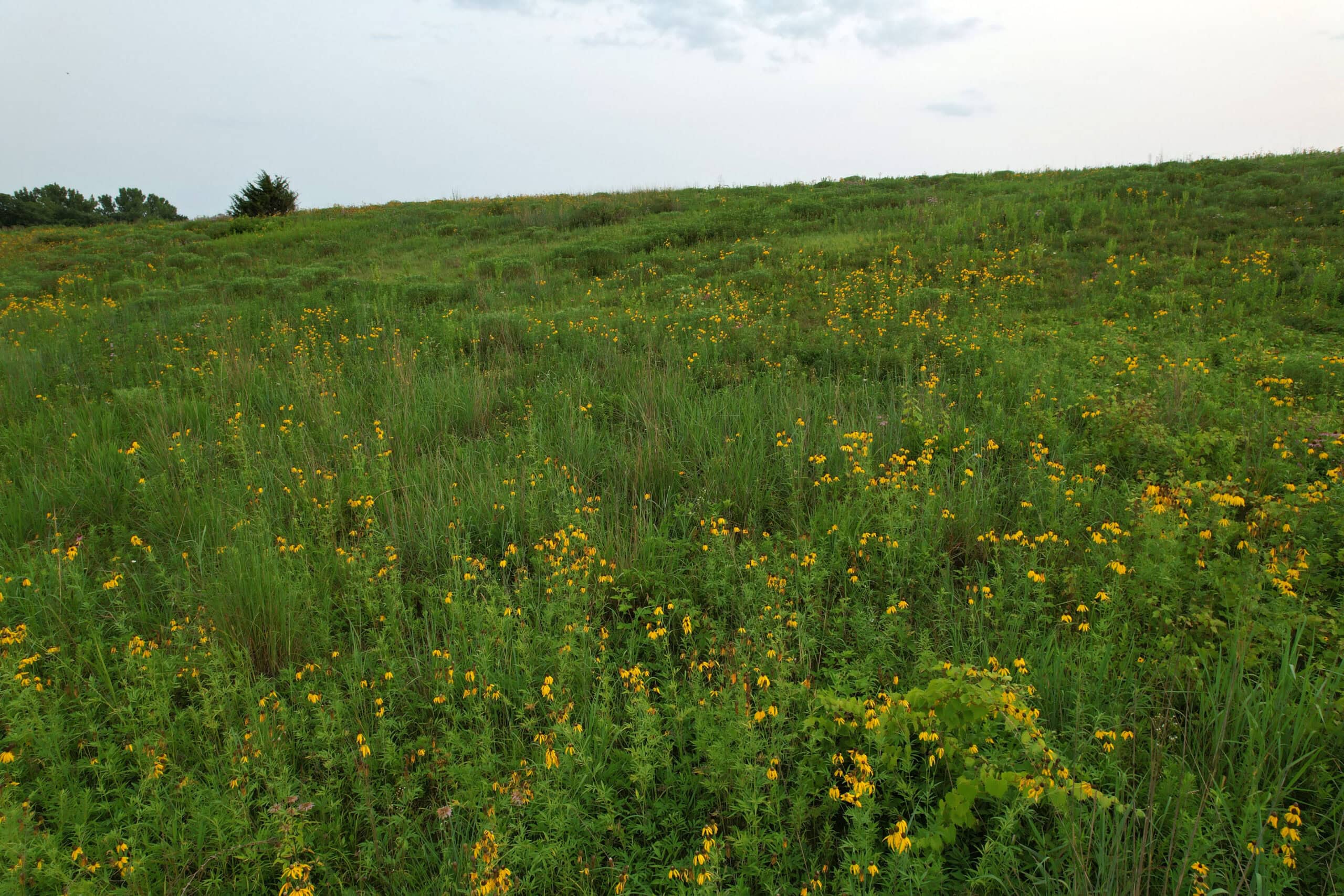 Southern Iowa Combination Hunting Tract