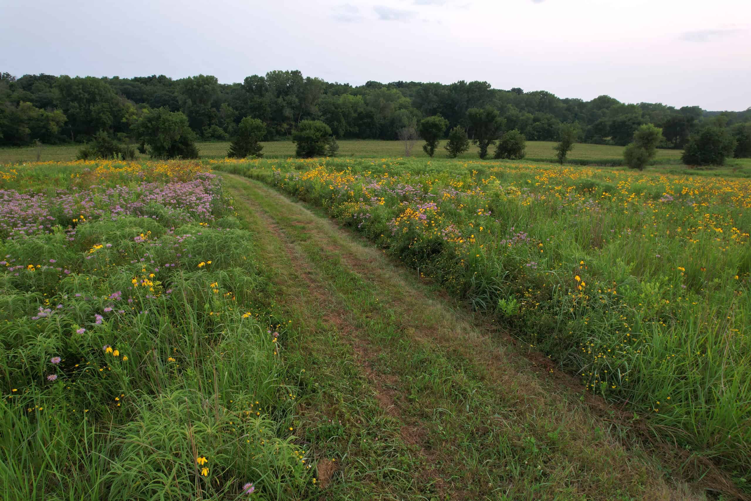 Southern Iowa Combination Hunting Tract
