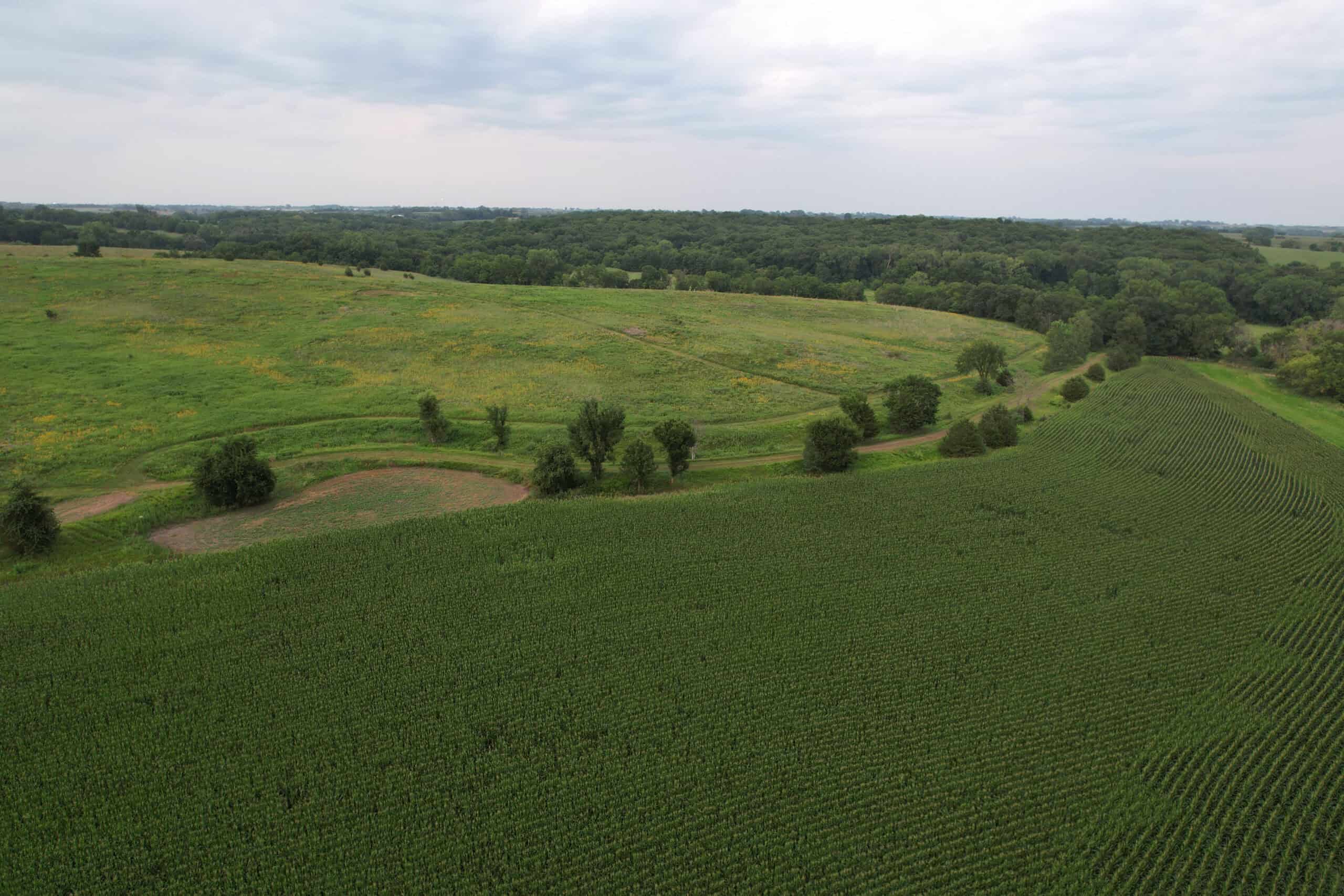 Southern Iowa Combination Hunting Tract