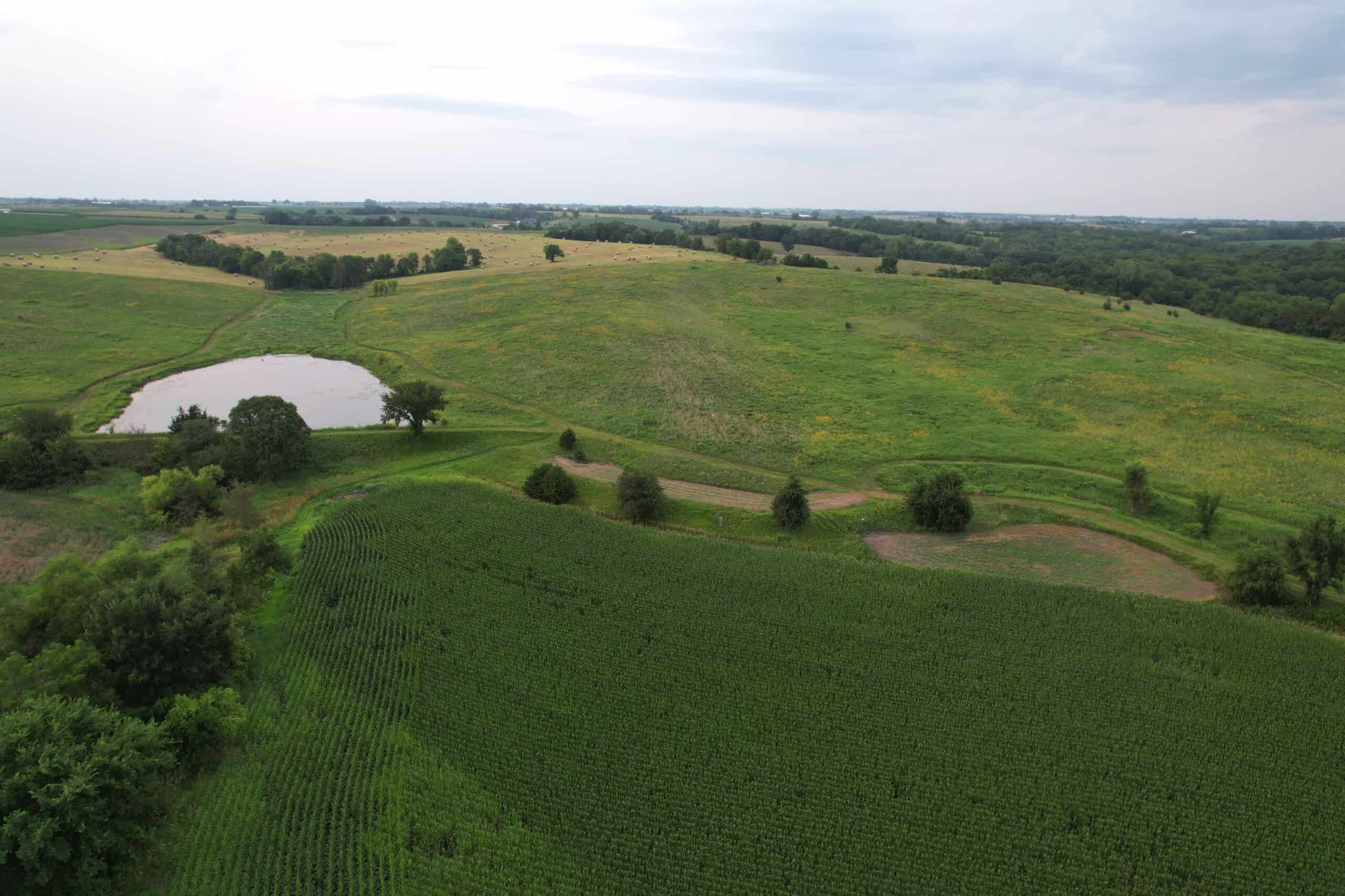 Southern Iowa Combination Hunting Tract