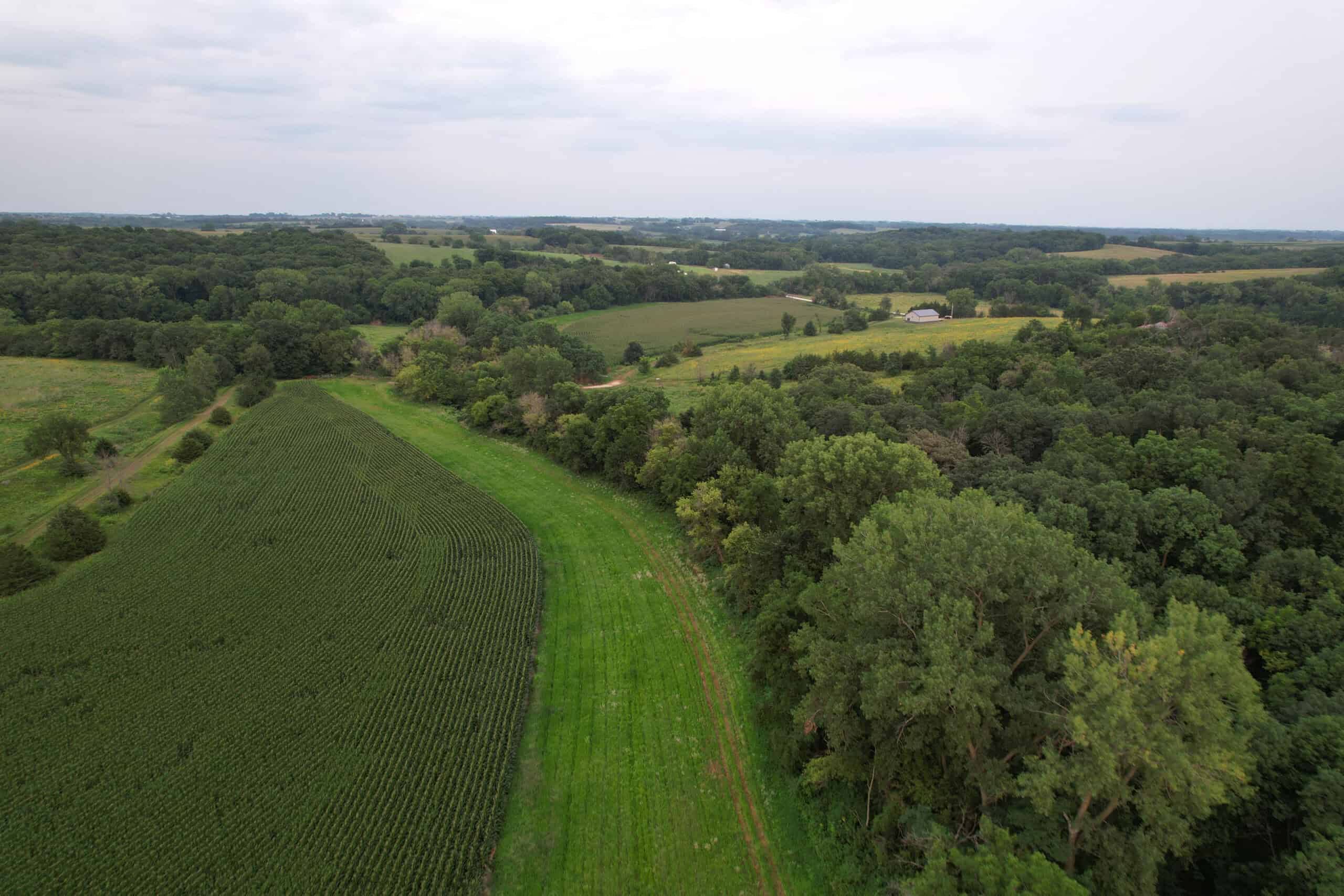 Southern Iowa Combination Hunting Tract