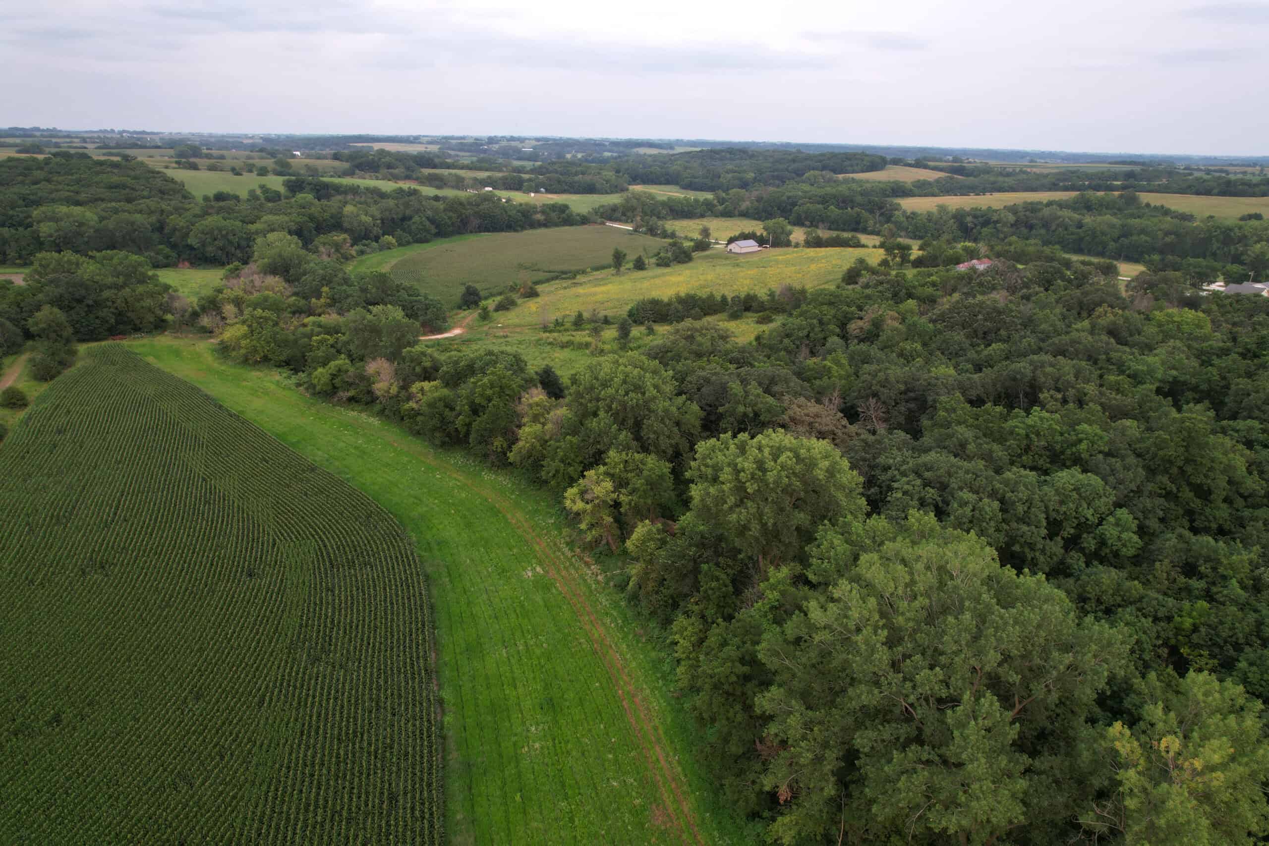 Southern Iowa Combination Hunting Tract