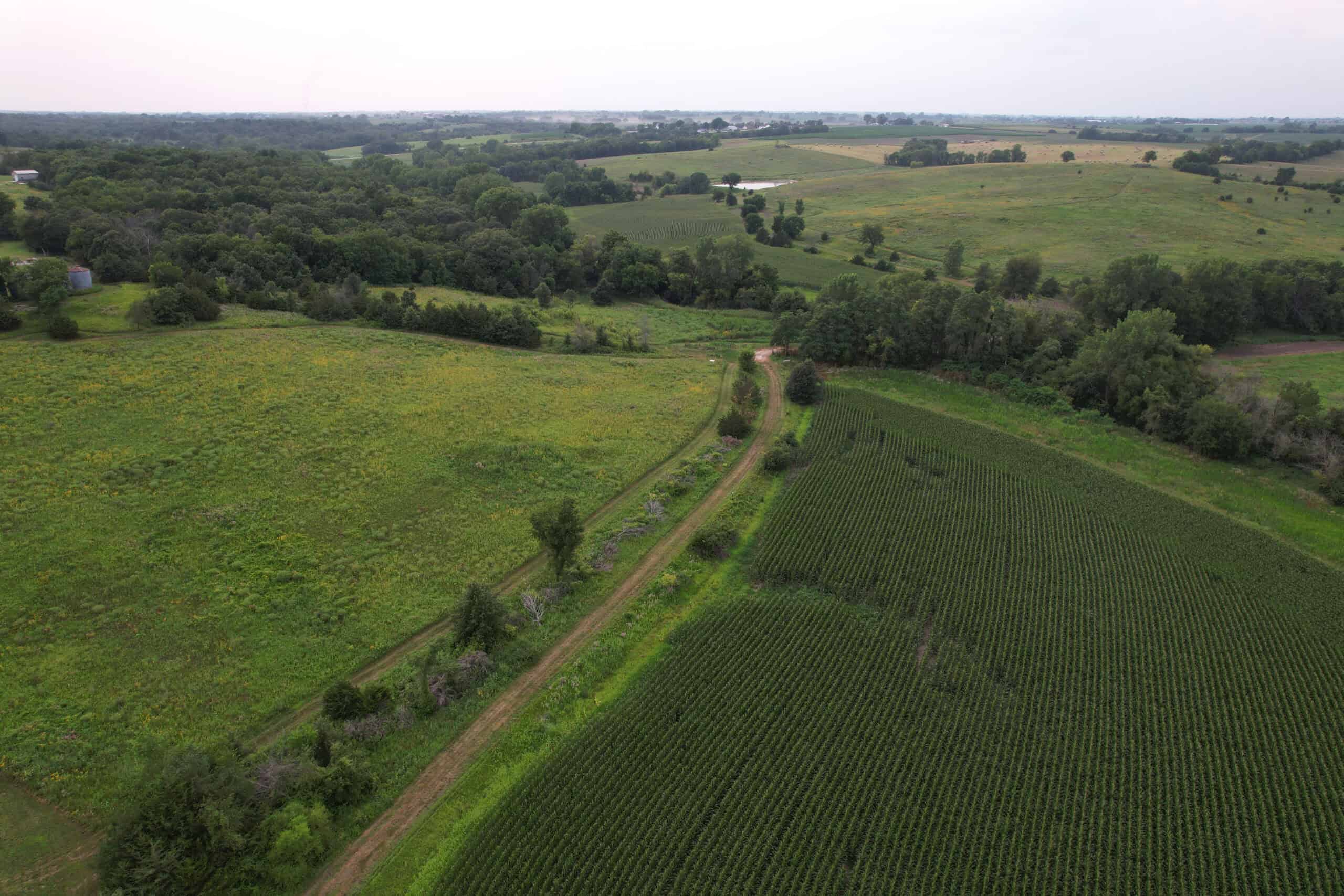 Southern Iowa Combination Hunting Tract