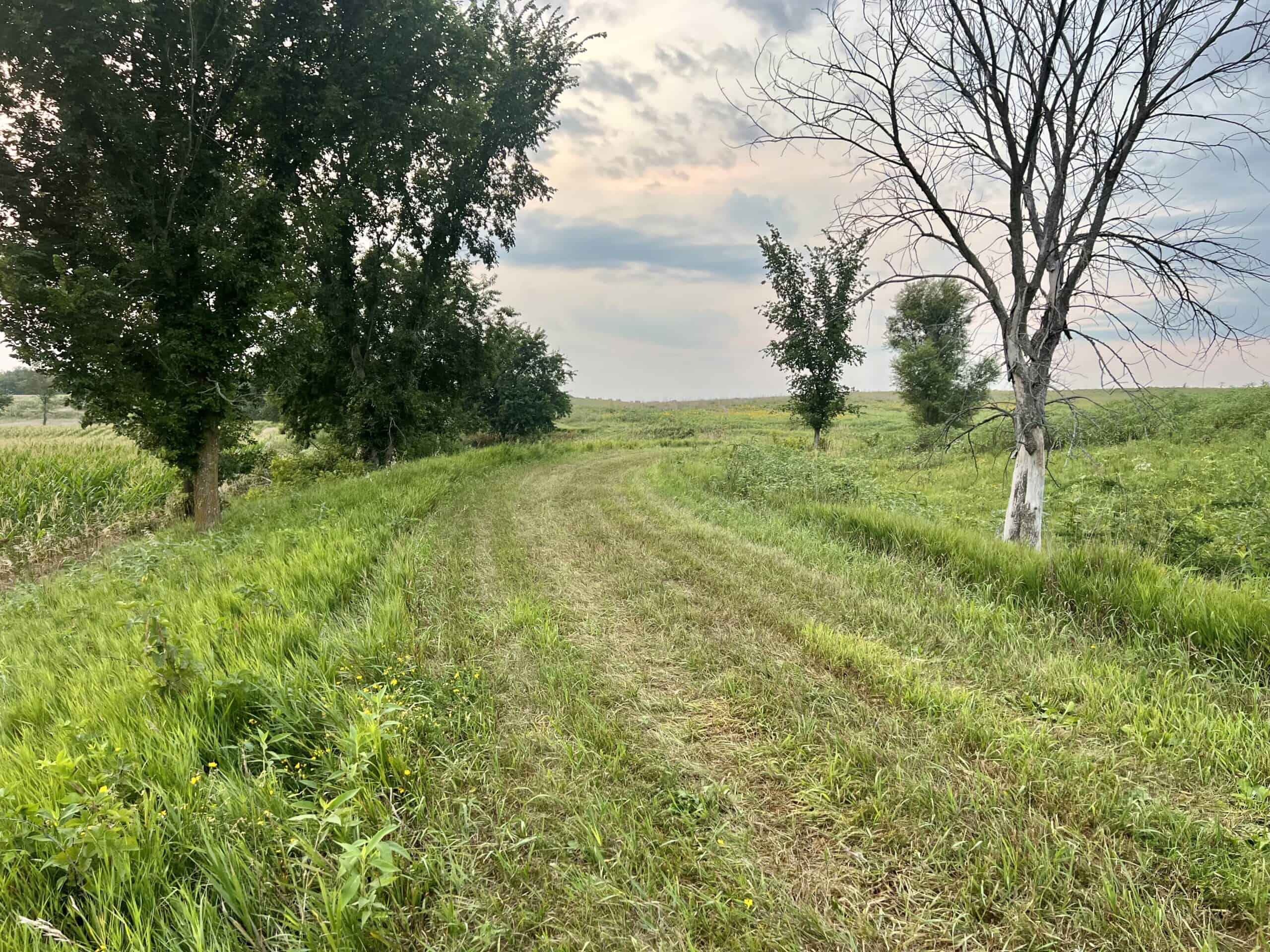 Southern Iowa Combination Hunting Tract