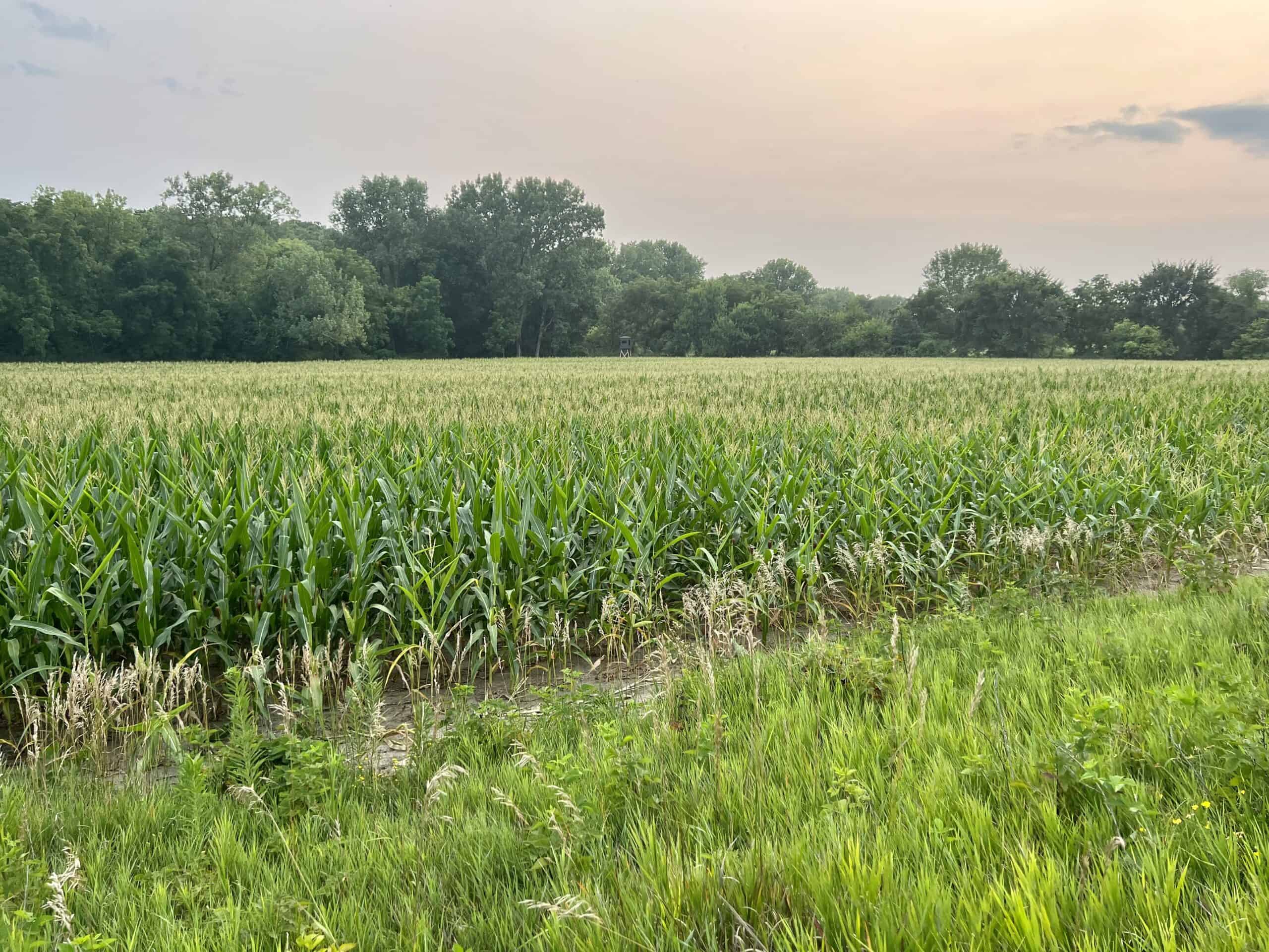 Southern Iowa Combination Hunting Tract
