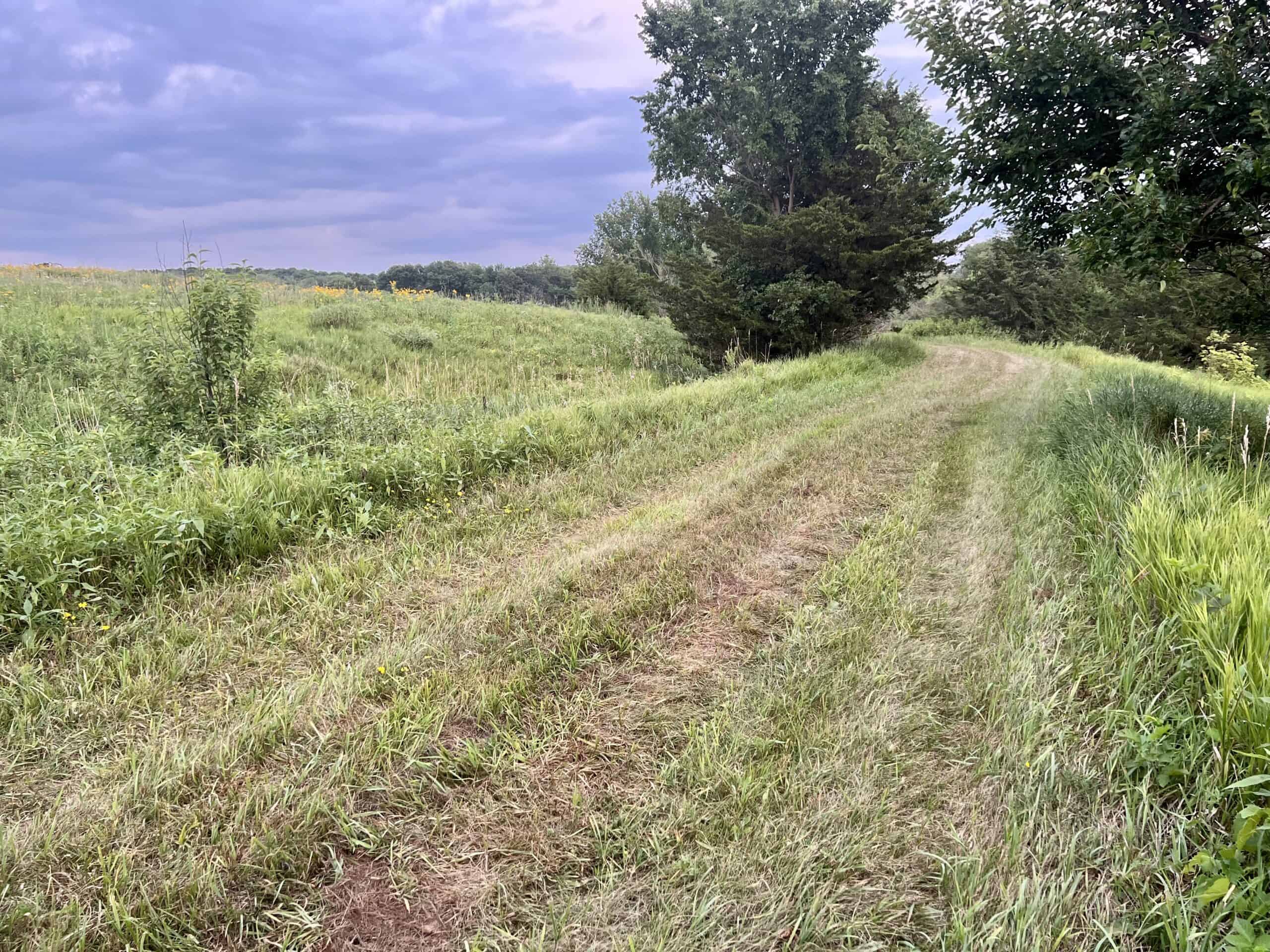 Southern Iowa Combination Hunting Tract