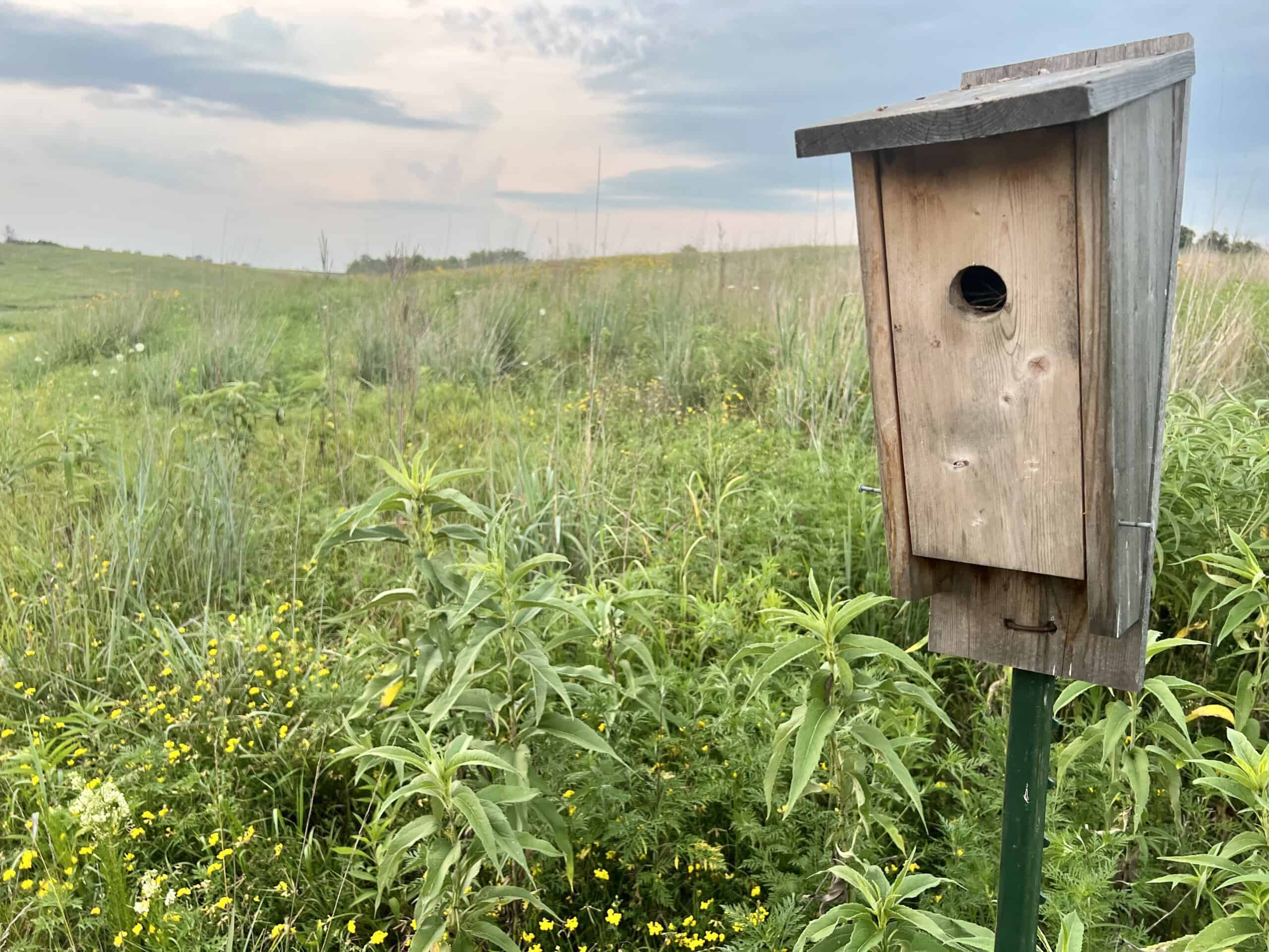Southern Iowa Combination Hunting Tract