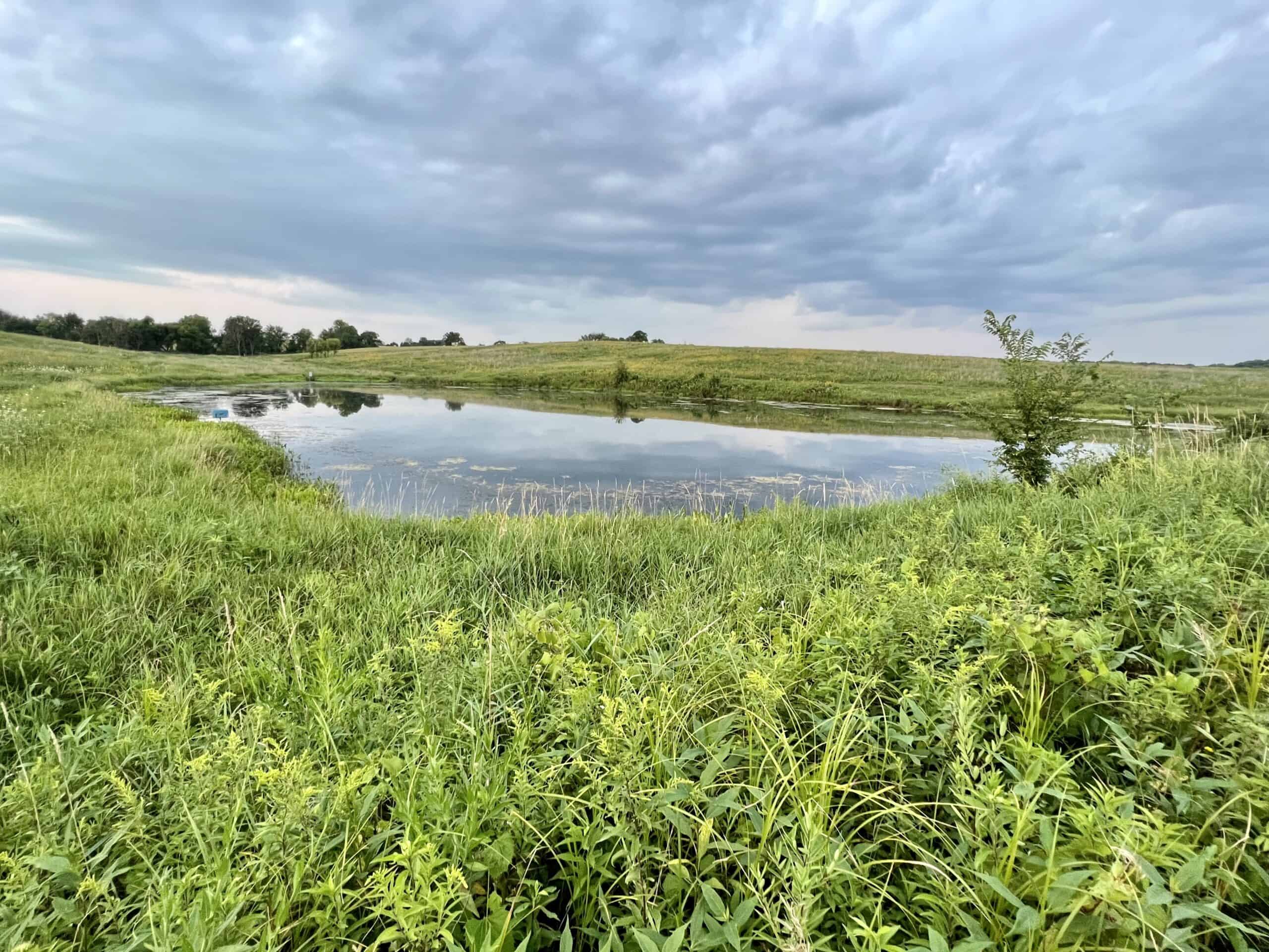 Southern Iowa Combination Hunting Tract