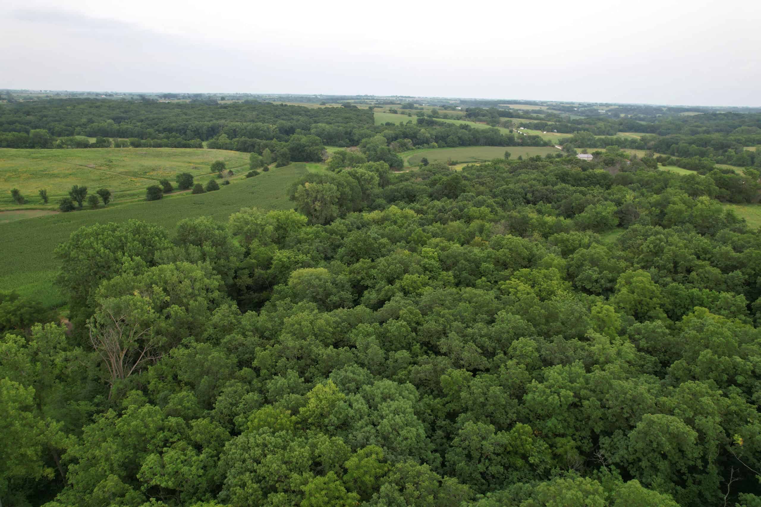Southern Iowa Combination Hunting Tract