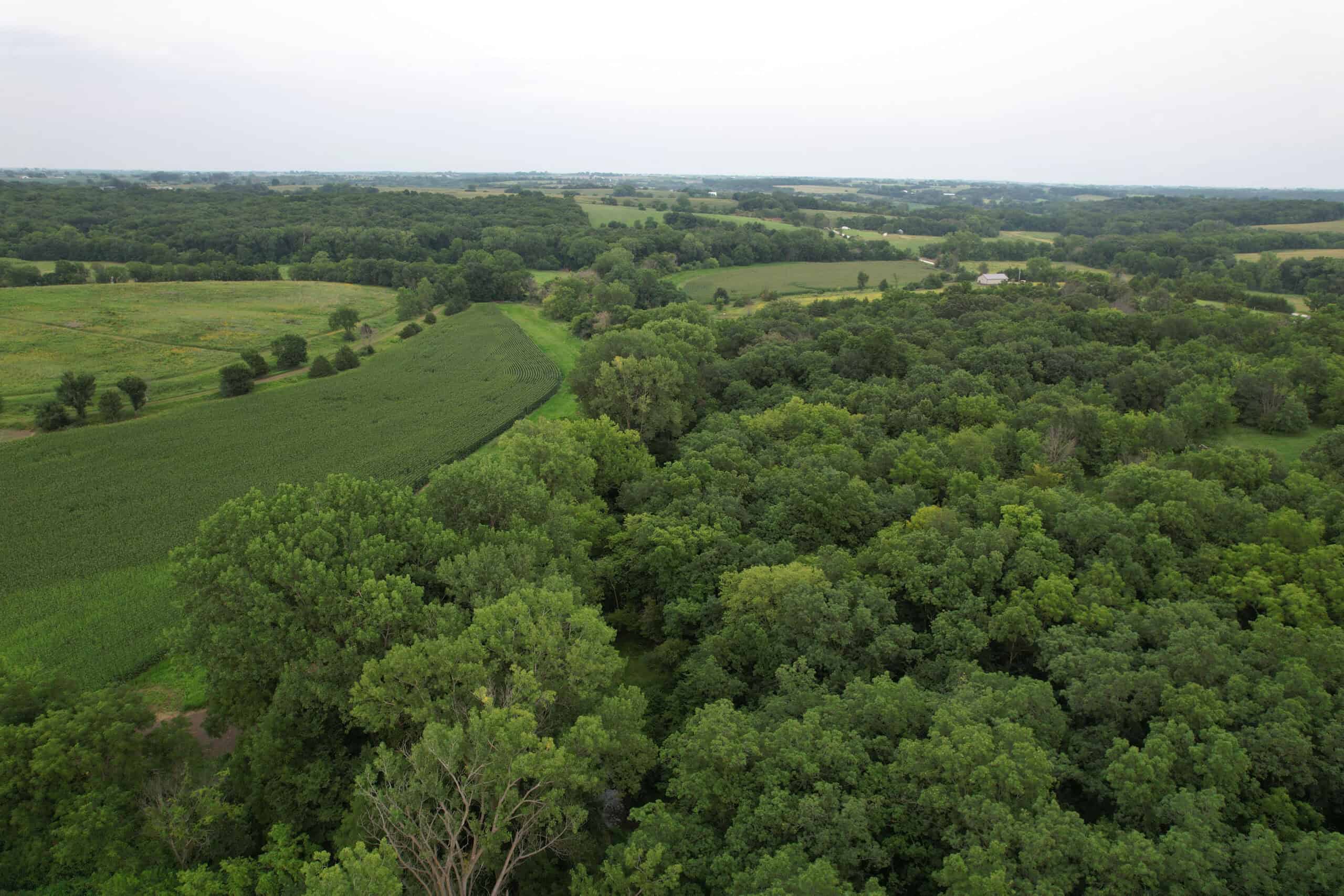 Southern Iowa Combination Hunting Tract