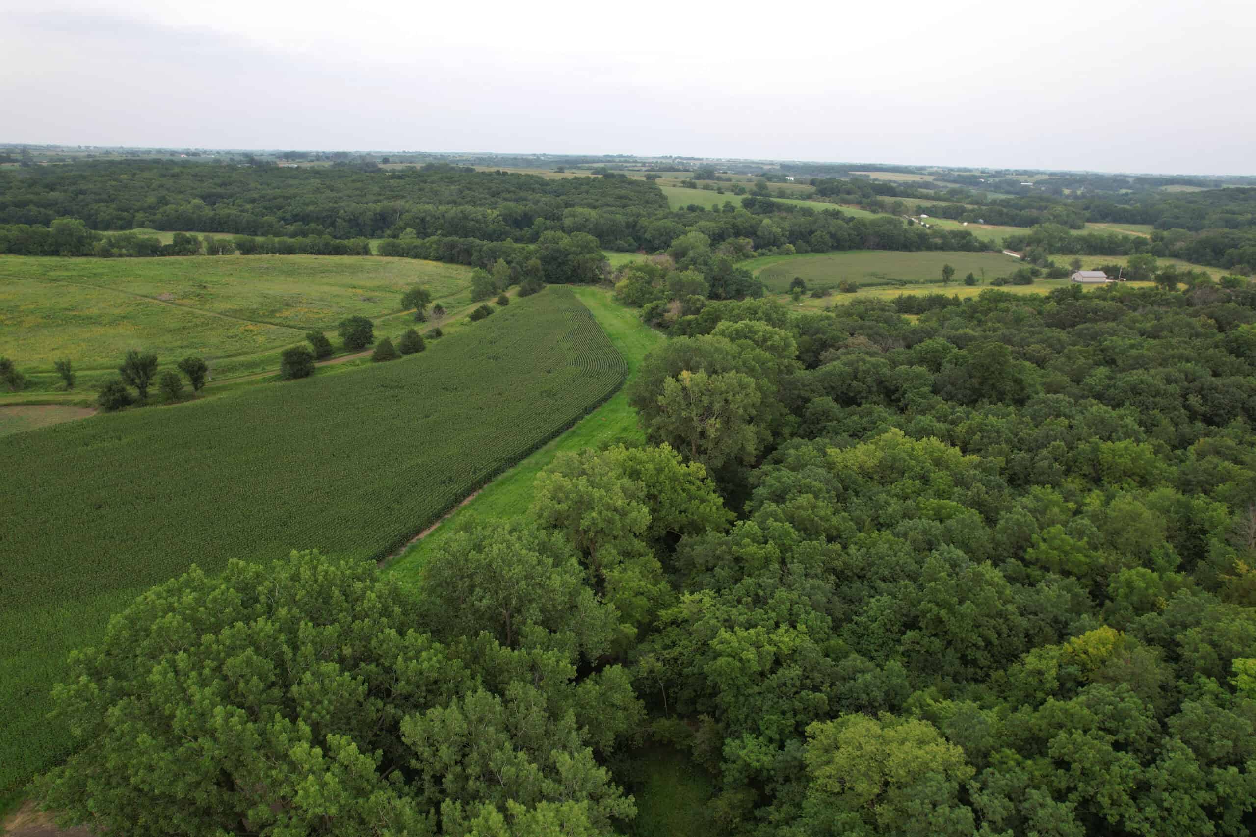 Southern Iowa Combination Hunting Tract