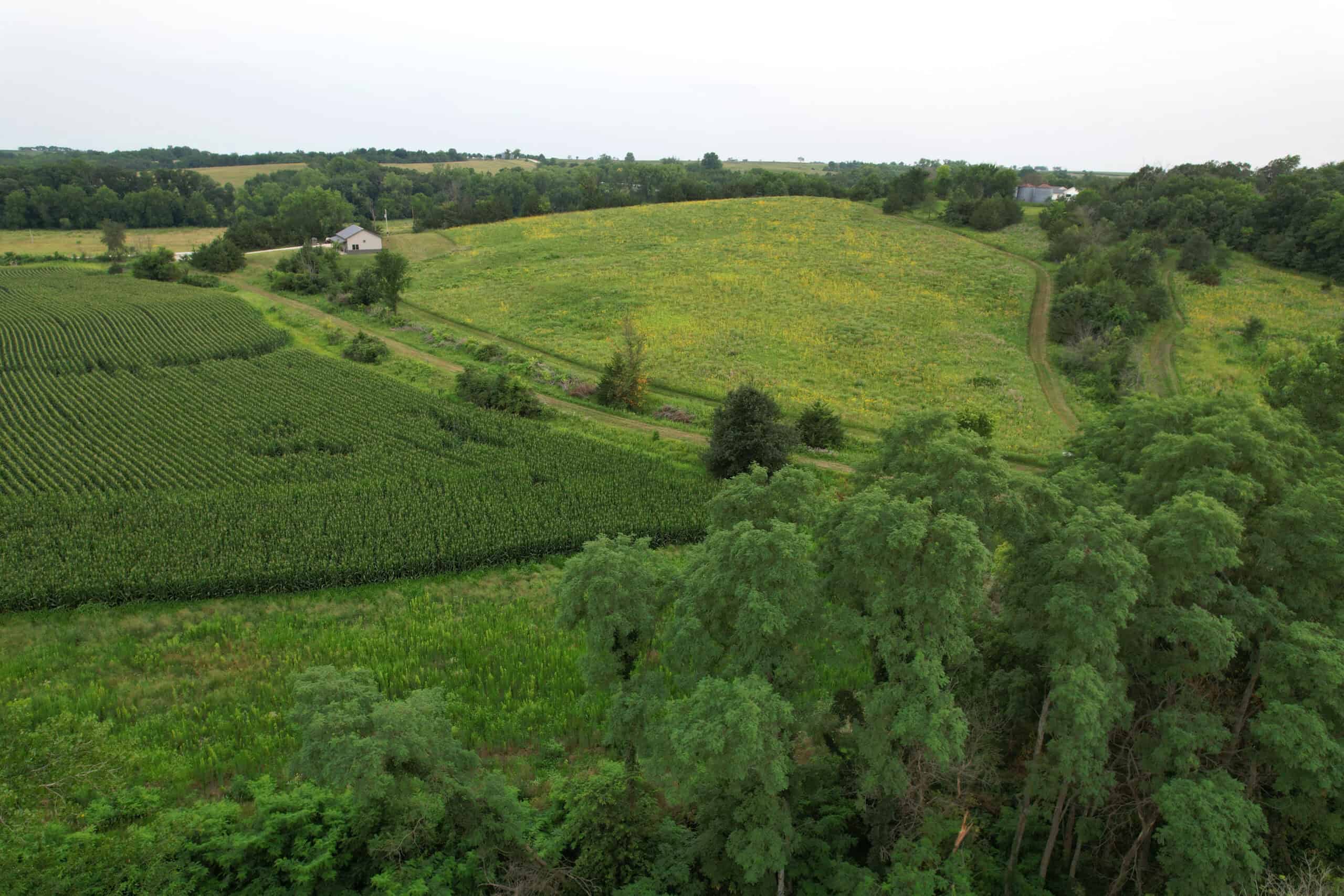 Southern Iowa Combination Hunting Tract