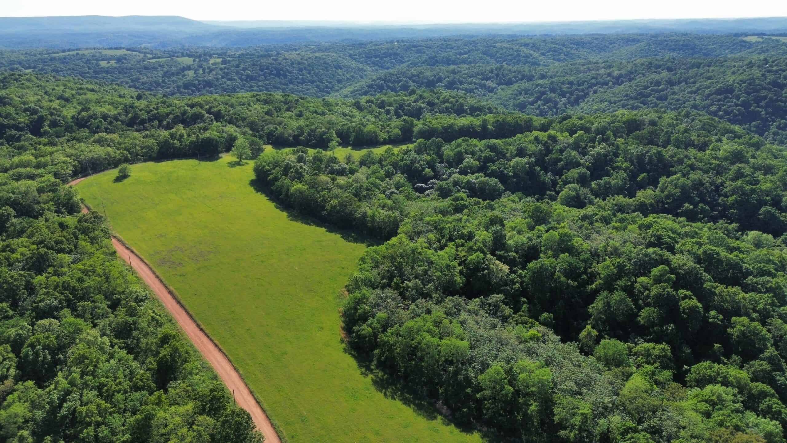 HOME WITH LARGE HUNTING ACREAGE AND FARMING LAND IN ARKANSAS