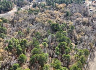 For Sale: 14.83 Acres of Opportunity in Grimesland, NC