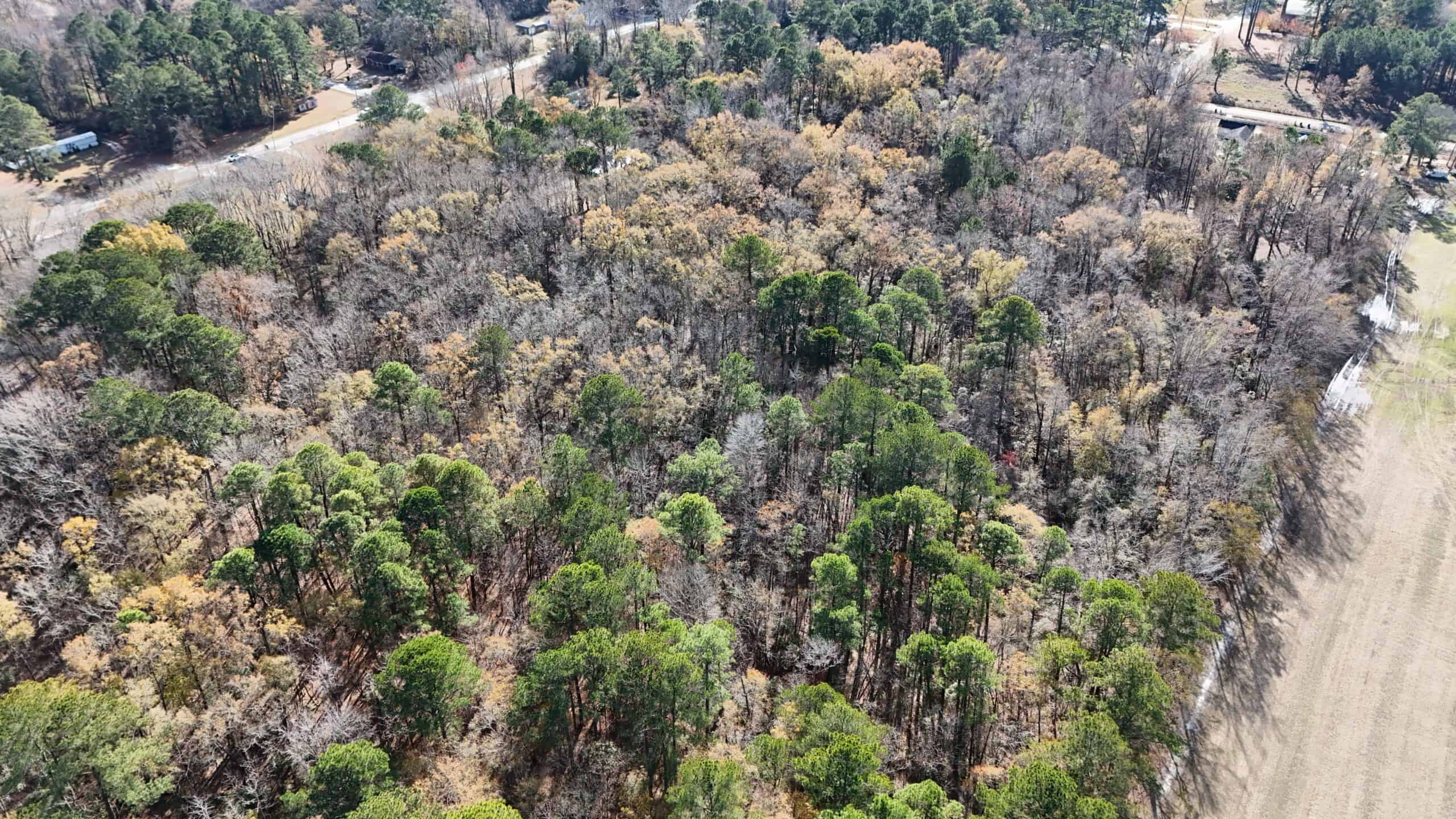 For Sale: 14.83 Acres of Opportunity in Grimesland, NC