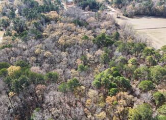 For Sale: 14.83 Acres of Opportunity in Grimesland, NC
