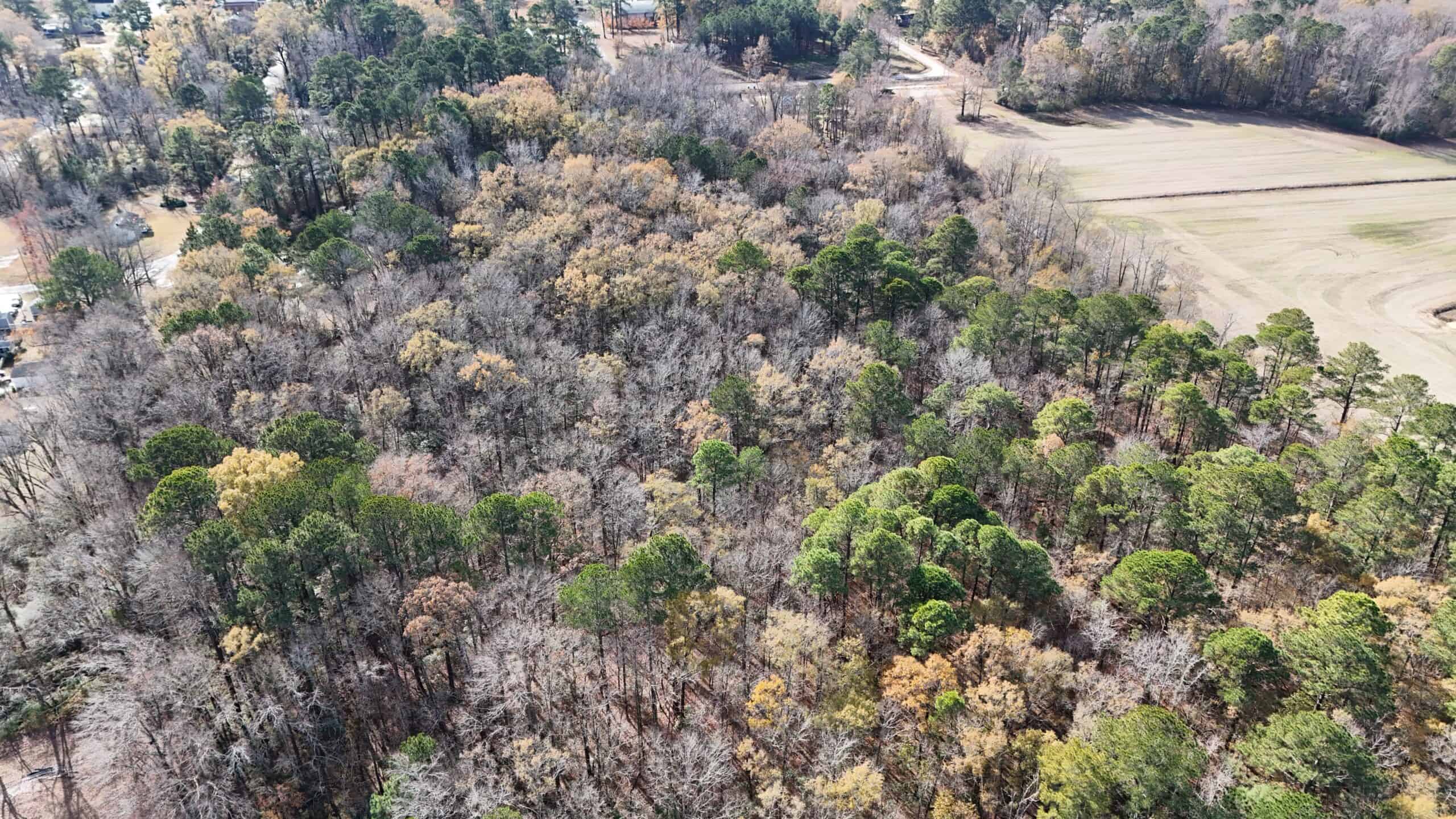 For Sale: 14.83 Acres of Opportunity in Grimesland, NC