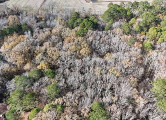 For Sale: 14.83 Acres of Opportunity in Grimesland, NC