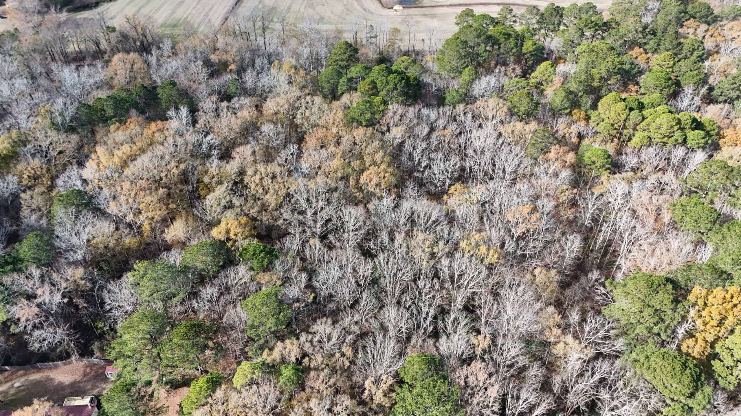 For Sale: 14.83 Acres of Opportunity in Grimesland, NC