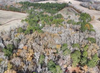 For Sale: 14.83 Acres of Opportunity in Grimesland, NC