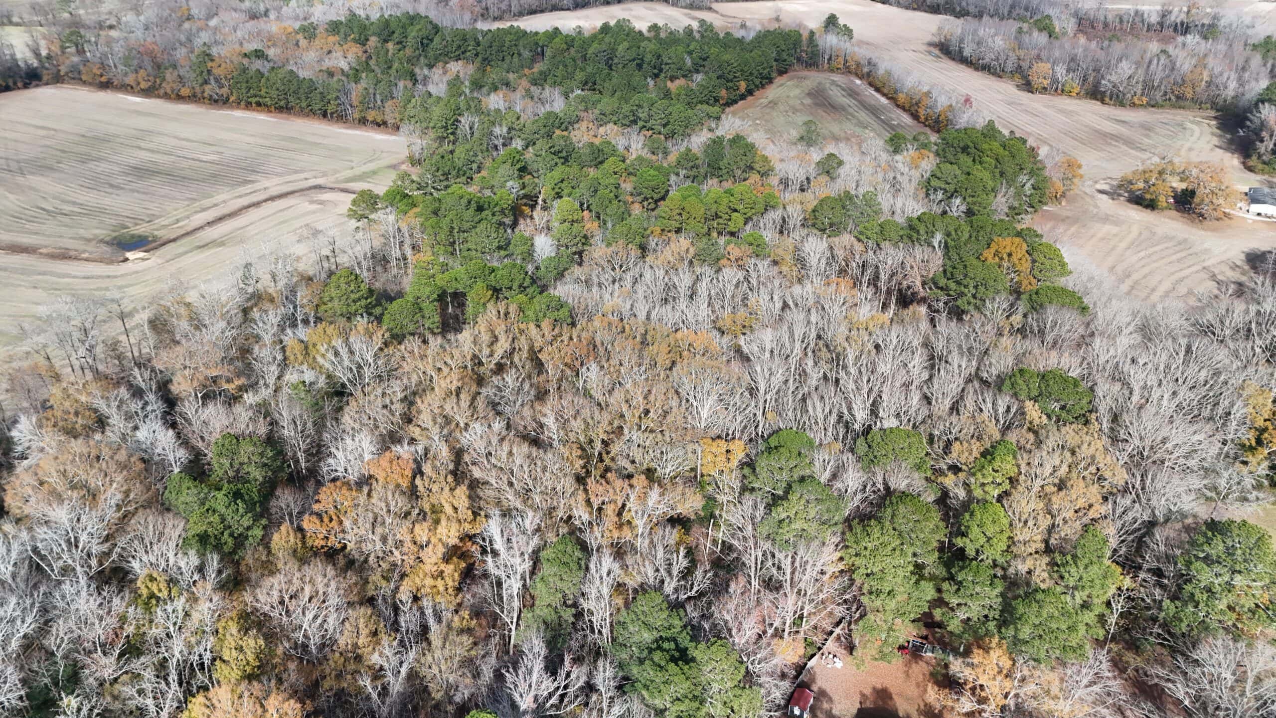 For Sale: 14.83 Acres of Opportunity in Grimesland, NC