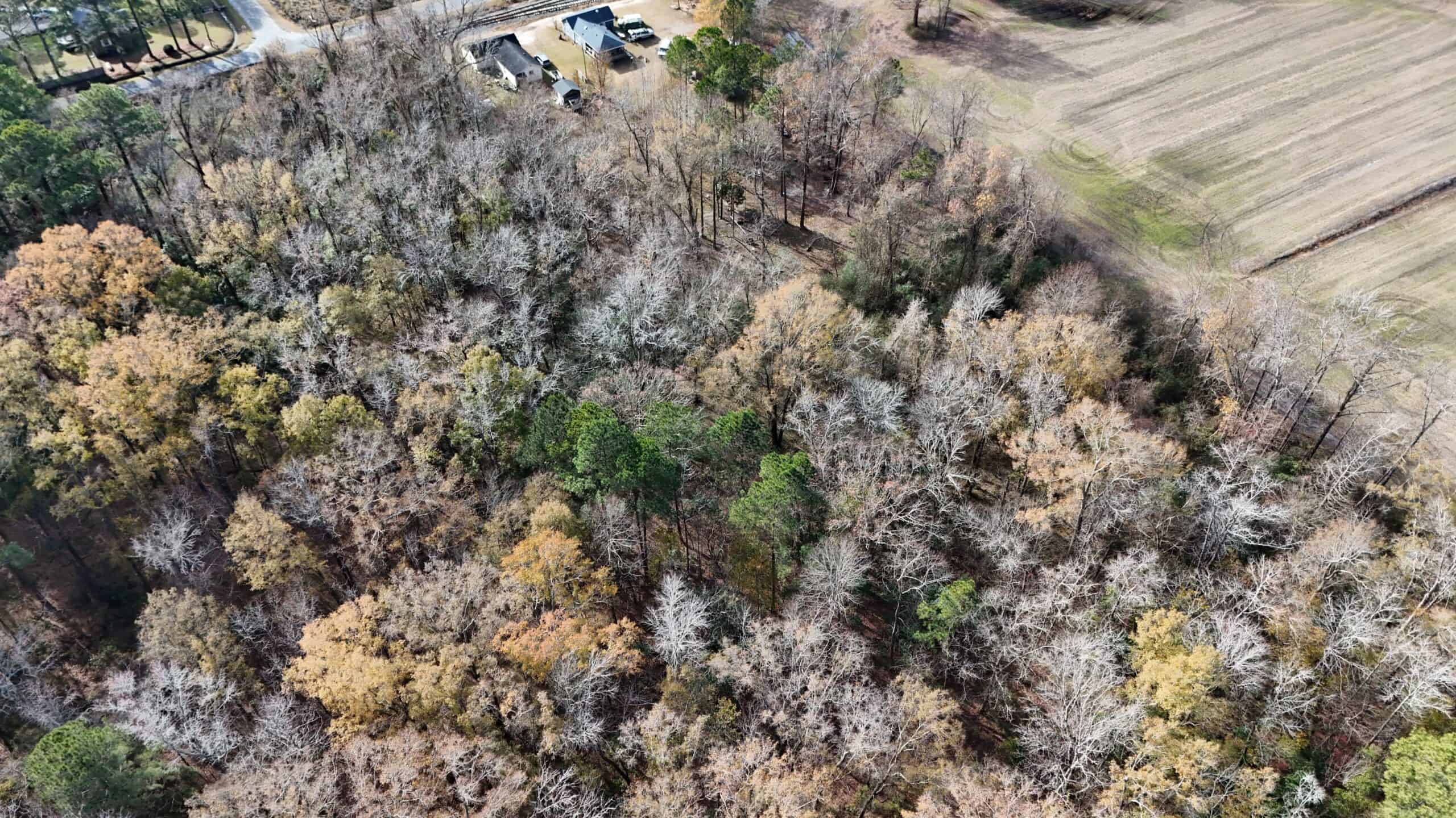 For Sale: 14.83 Acres of Opportunity in Grimesland, NC