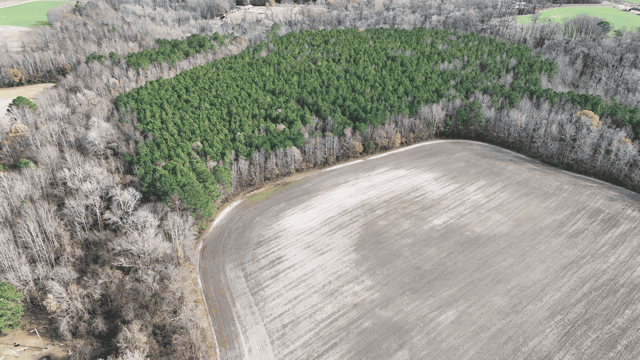 54-AC Investment Tract near Washington & Greenville, NC