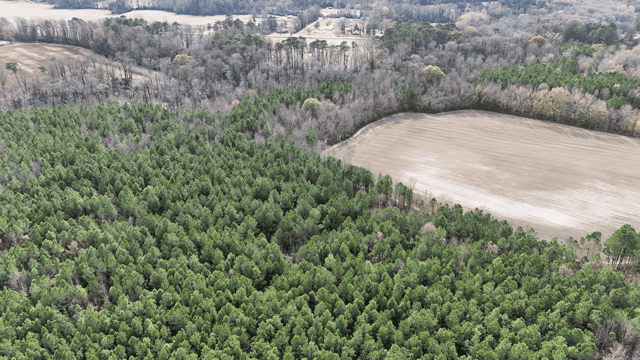 54-AC Investment Tract near Washington & Greenville, NC